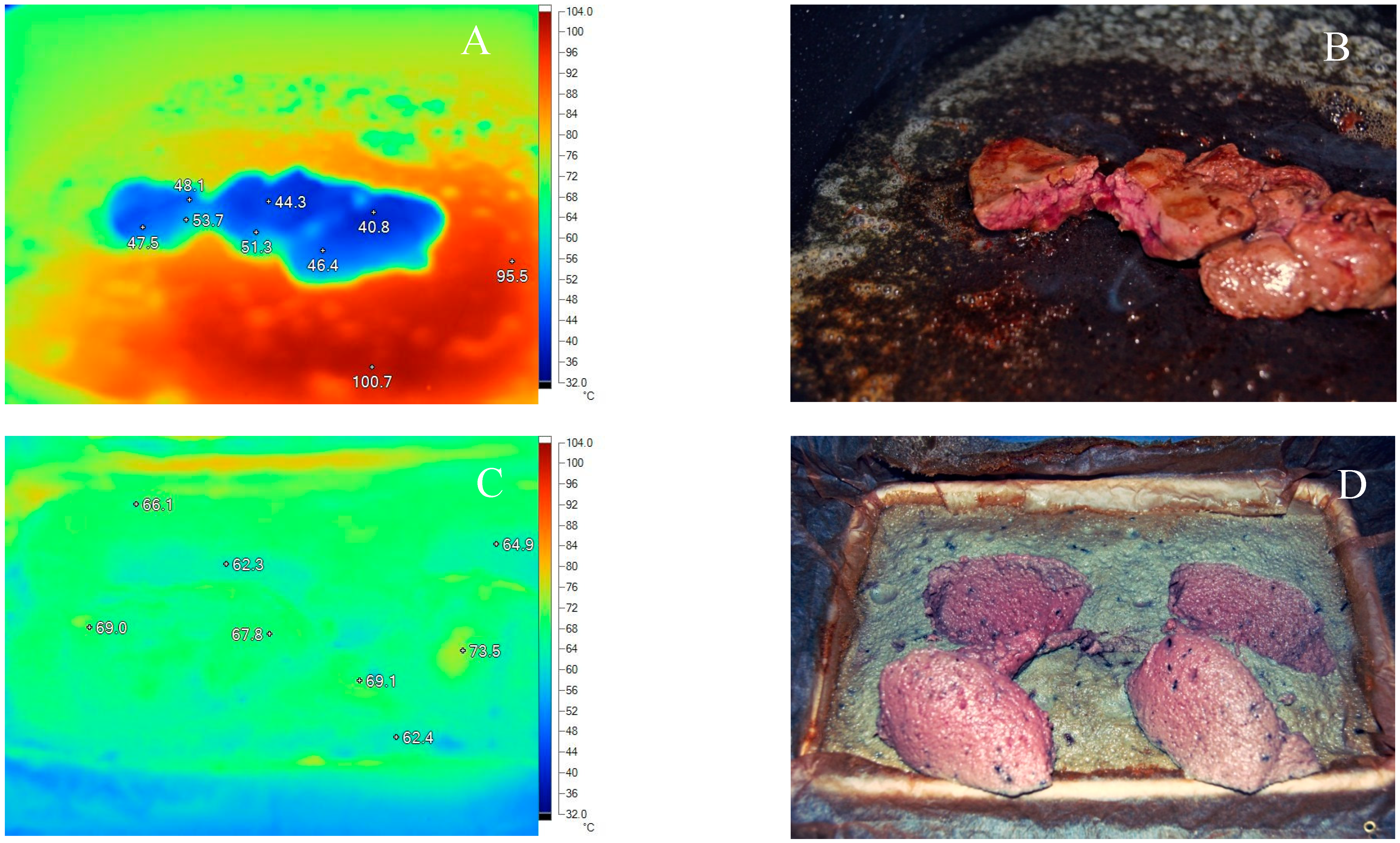 Ijerph 12 04652 g001 1024