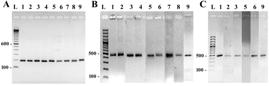 Ijerph 12 05485 g003 1024