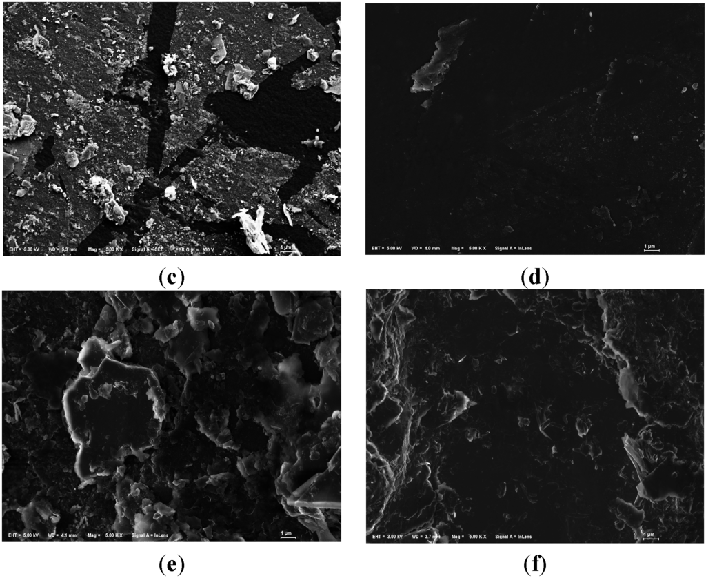 IJERPH Free FullText Effects of Varying Particle Sizes and
