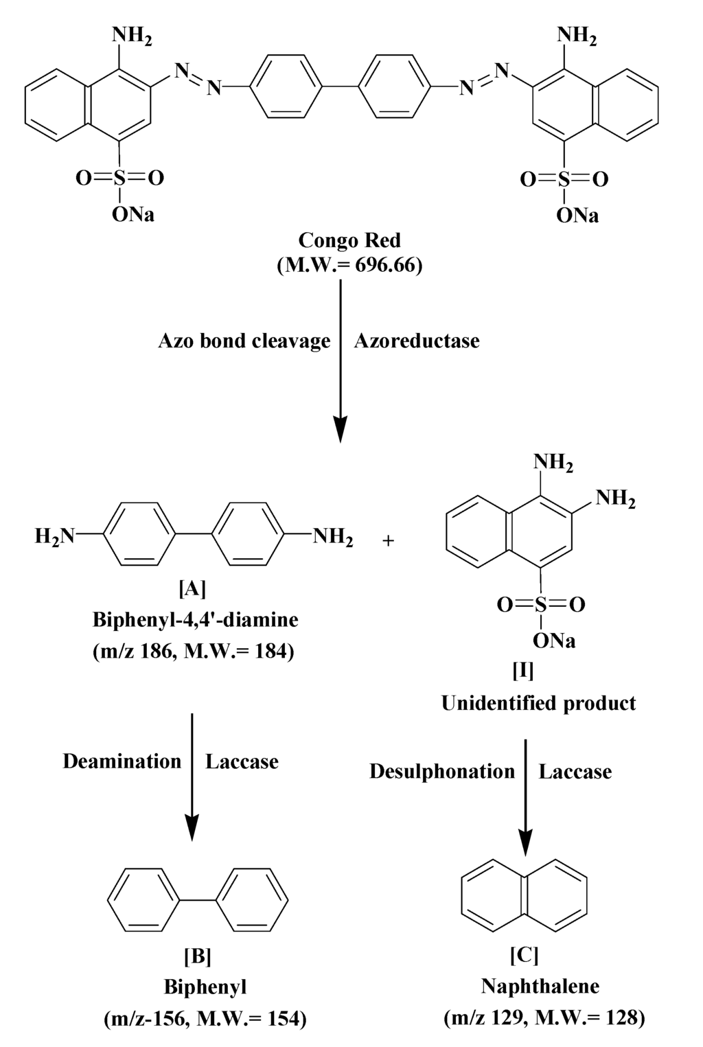 IJERPH Free FullText Mineralization and Detoxification of the