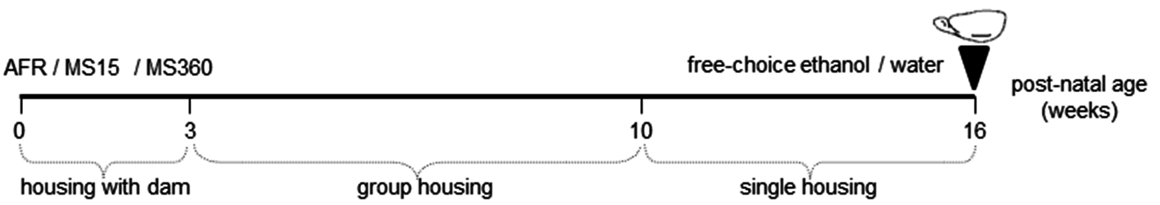 Ijerph 12 07154 g001 1024