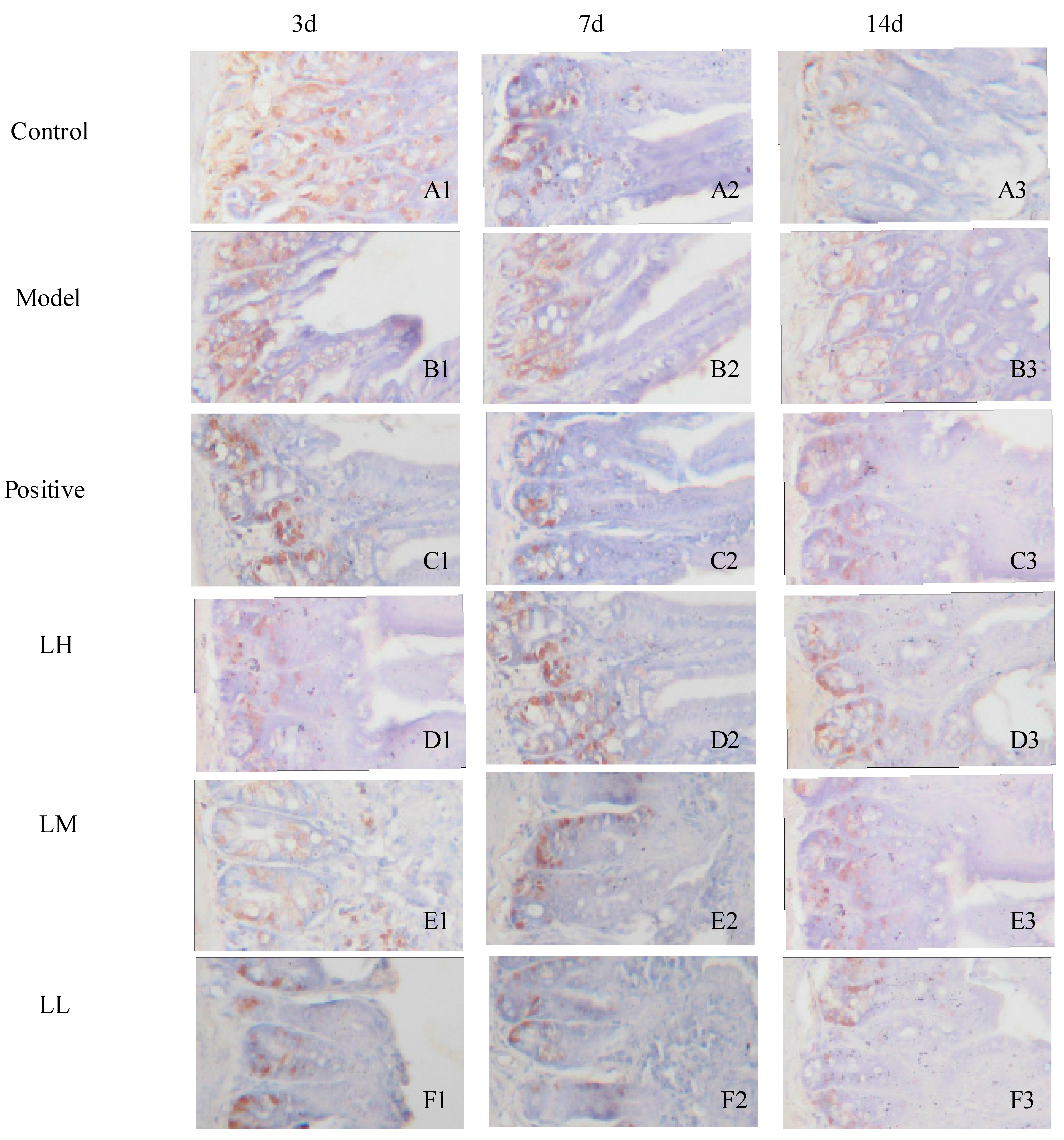 Ijerph 12 08332 g007