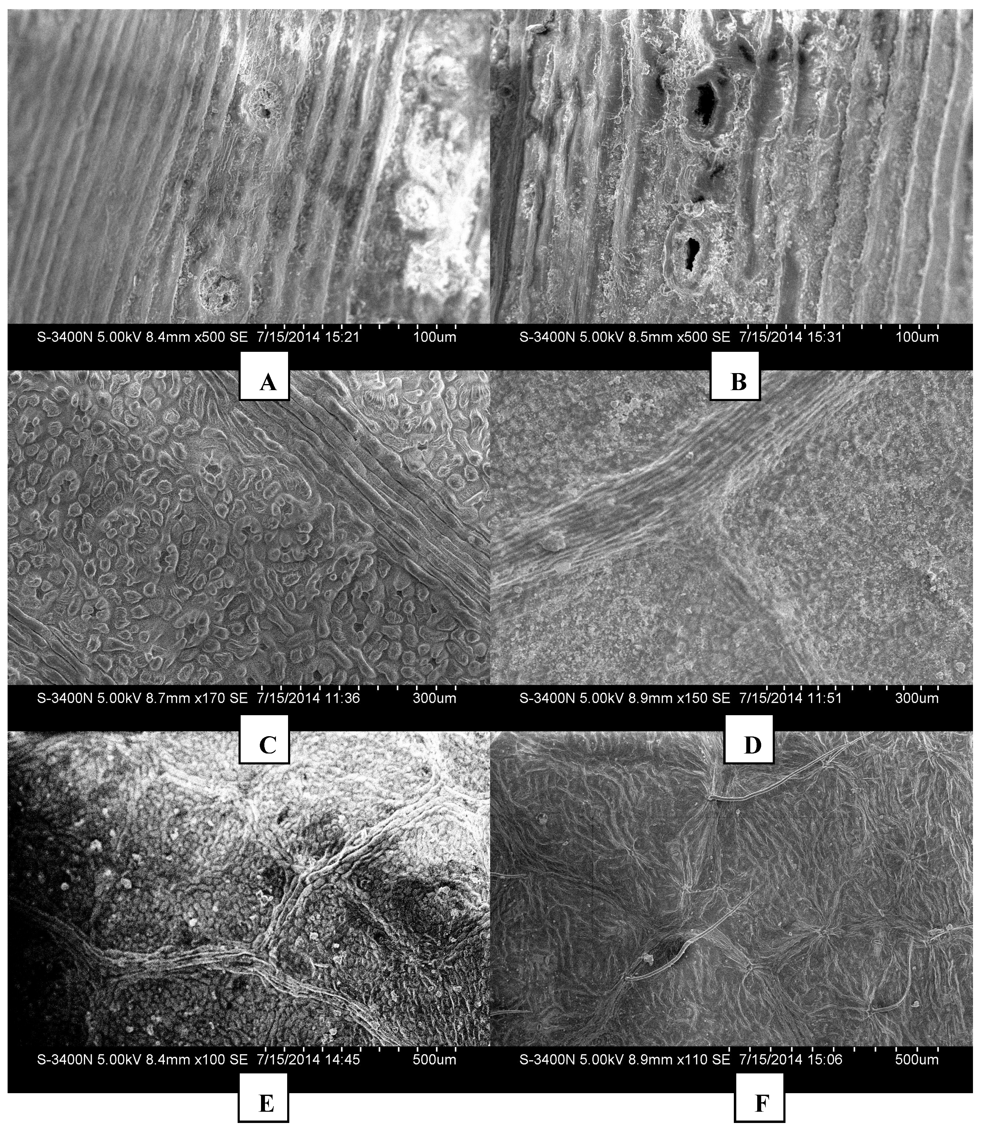 Ijerph 12 09623 g005