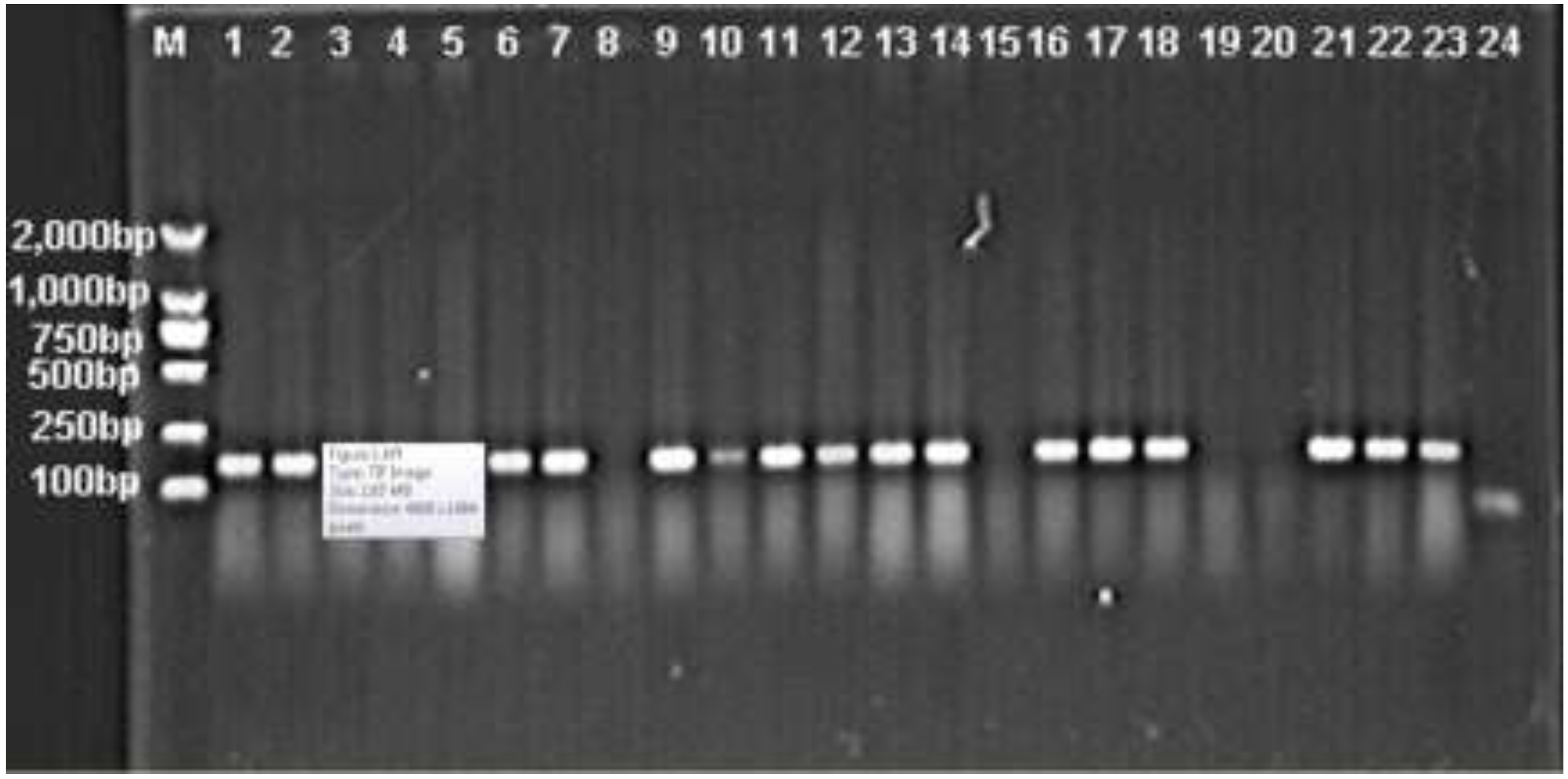 Ijerph 12 10093 g001 1024