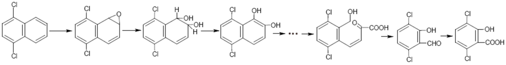 Ijerph 12 10300 g013 1024