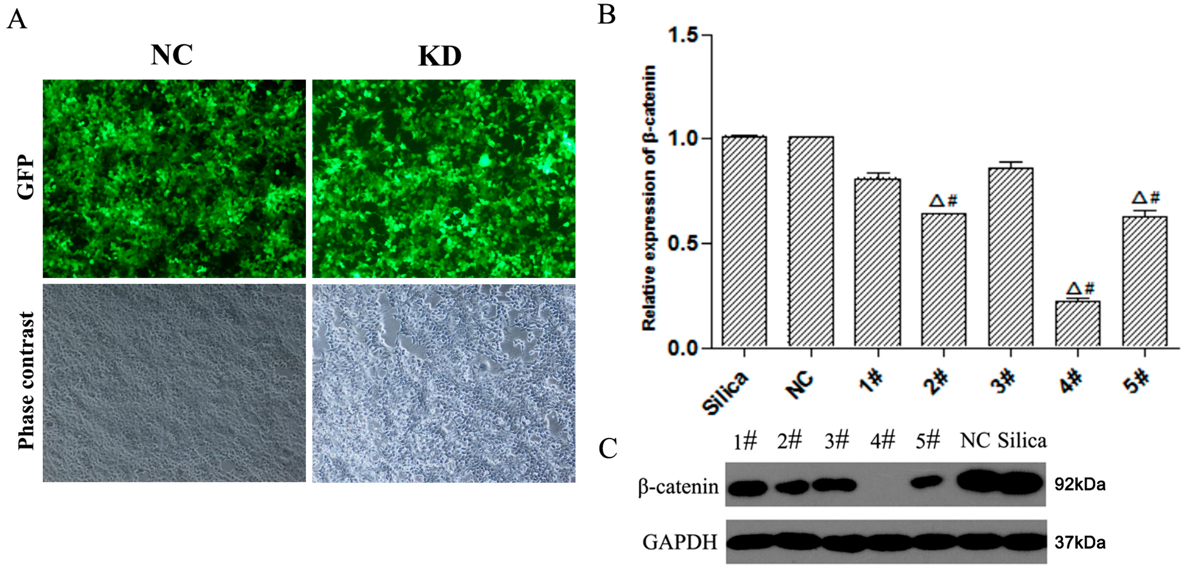 Ijerph 12 10739 g001 1024