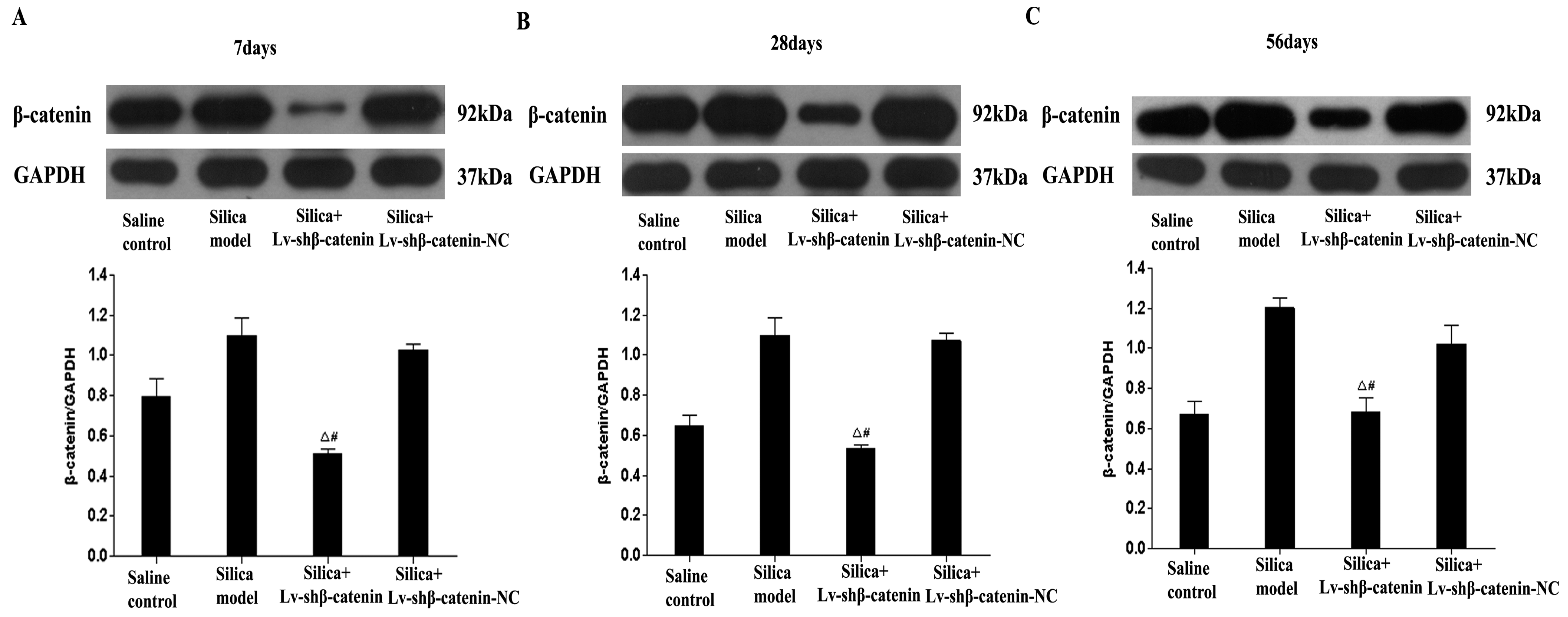Ijerph 12 10739 g003 1024