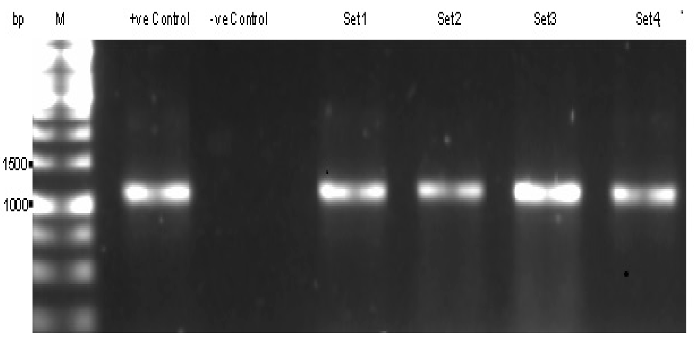 Ijerph 12 12356 g001