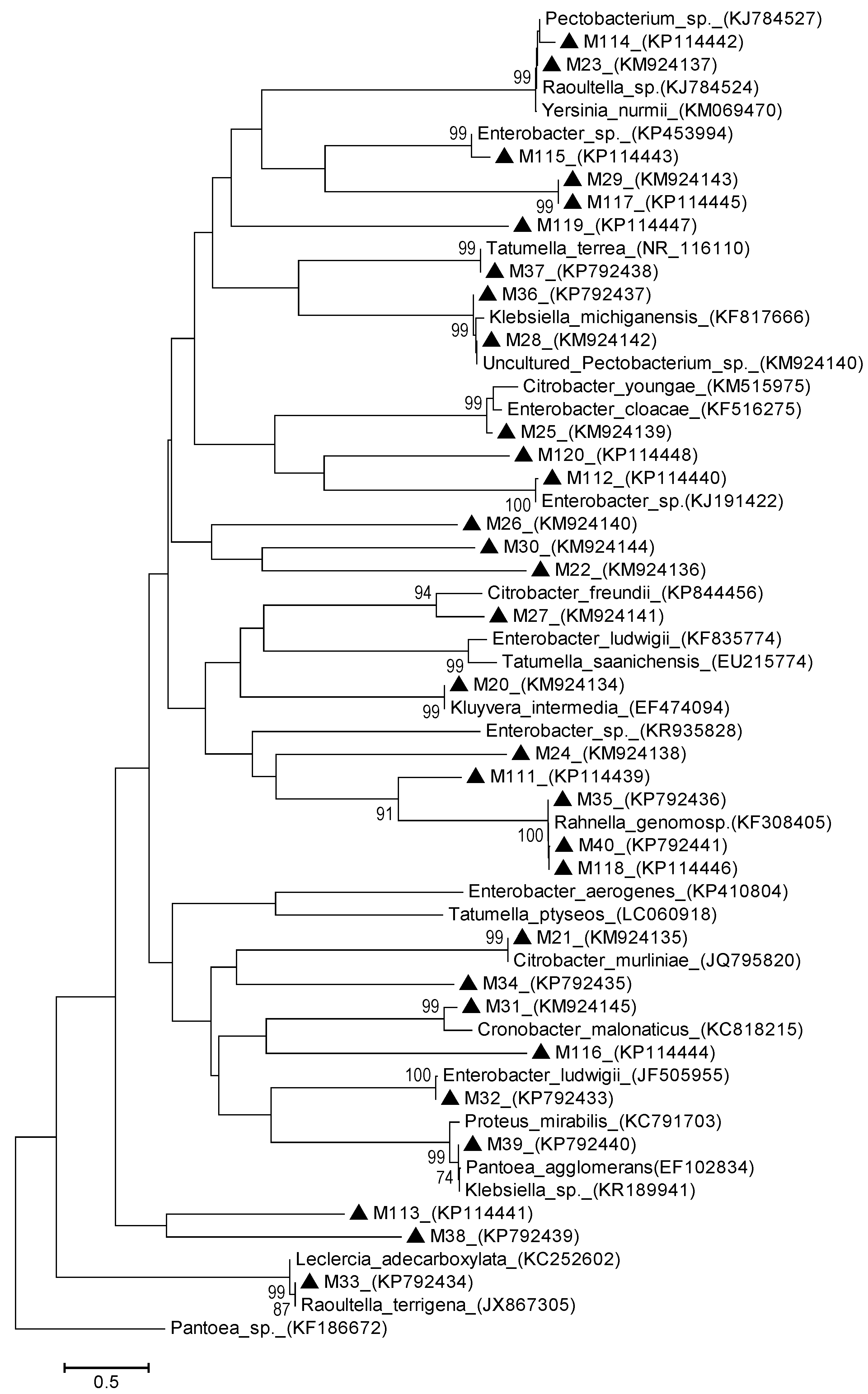 Ijerph 12 12356 g004