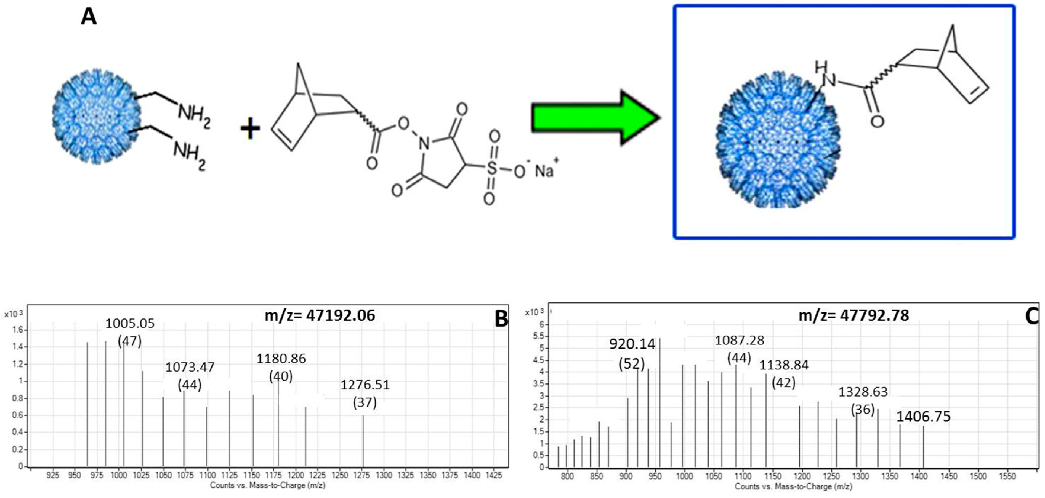 Ijerph 12 12543 g003 1024