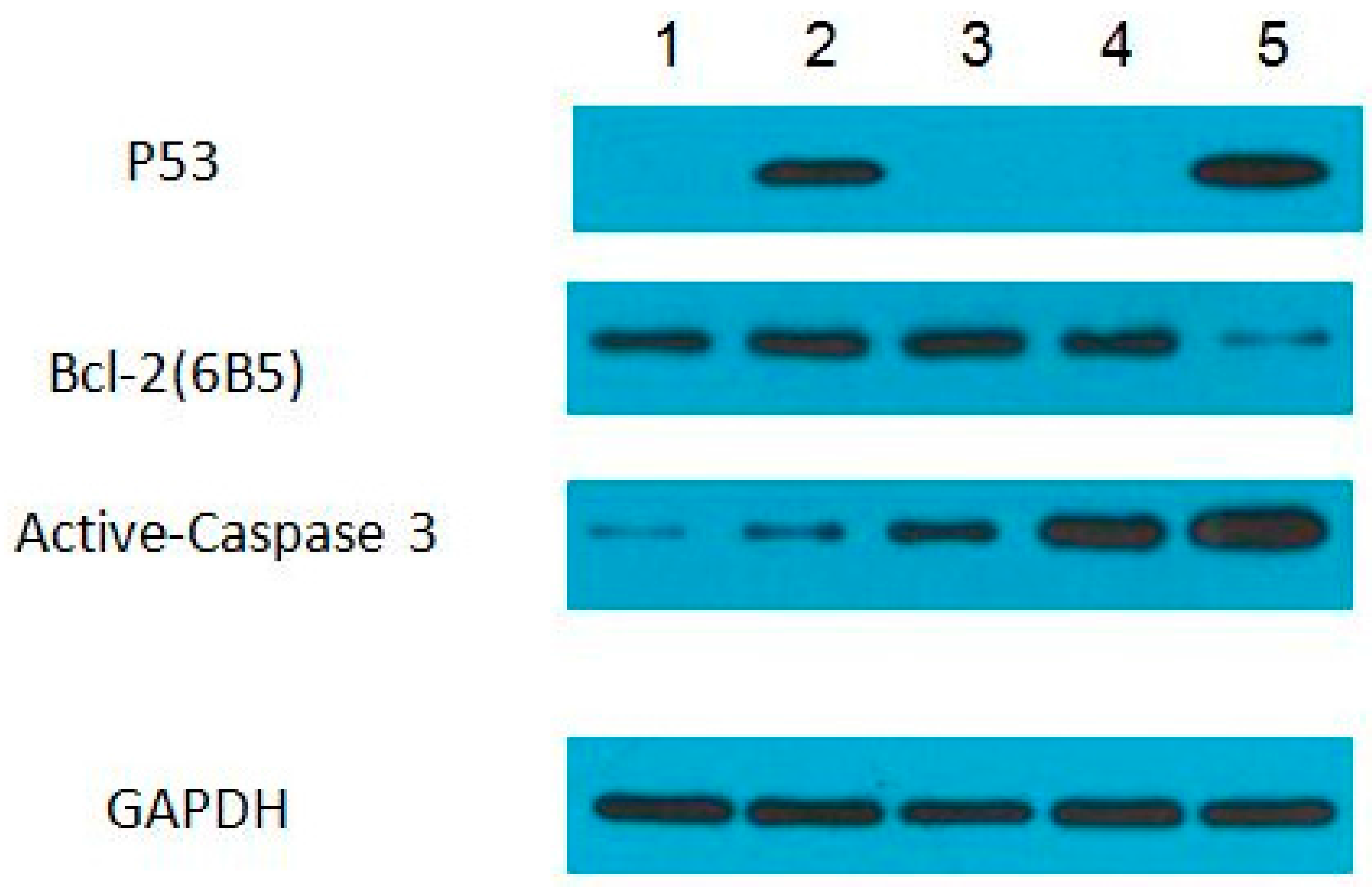 Ijerph 12 15012 g005 1024