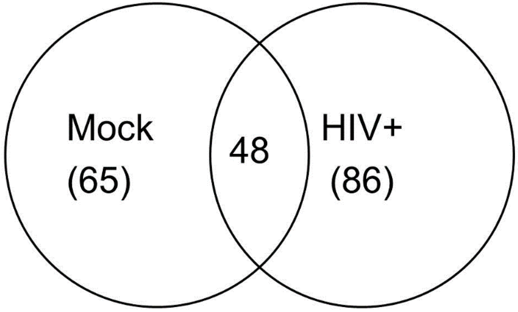ijerph january 2016 browse articles ellis island and angel island venn diagram