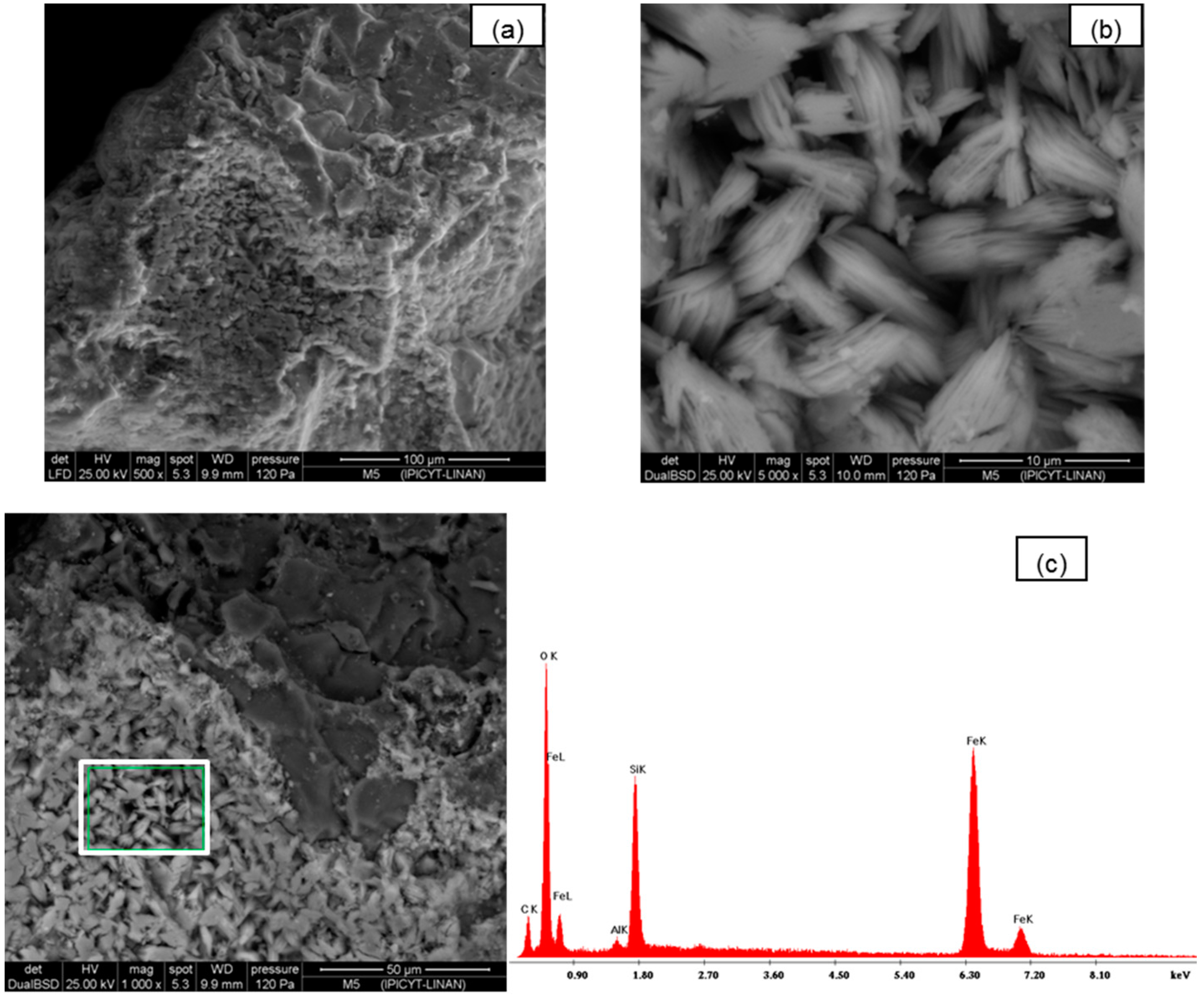 Ijerph 13 00069 g001 1024