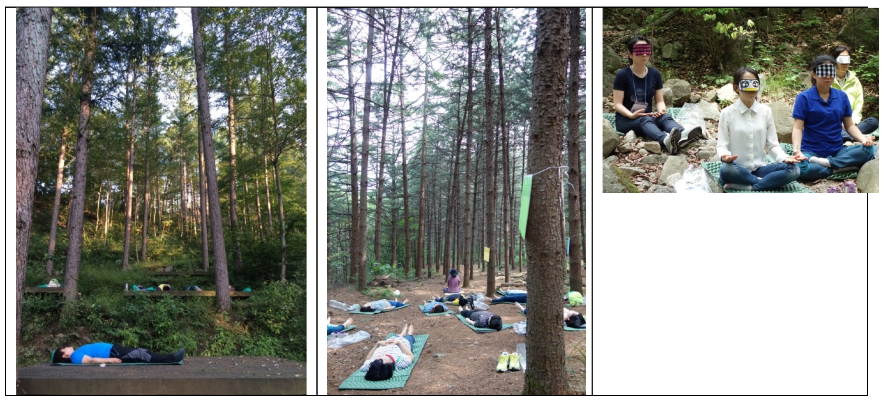 Ijerph 13 00255 g001