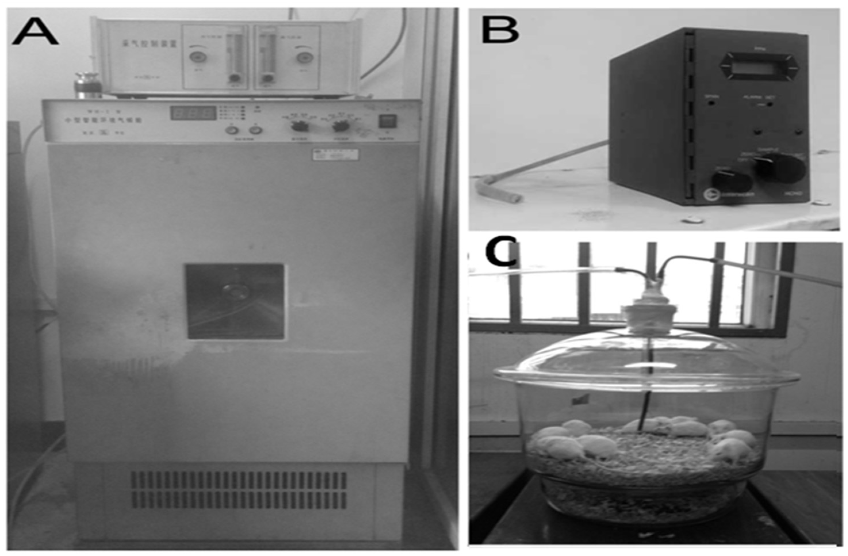 Ijerph 13 00258 g001