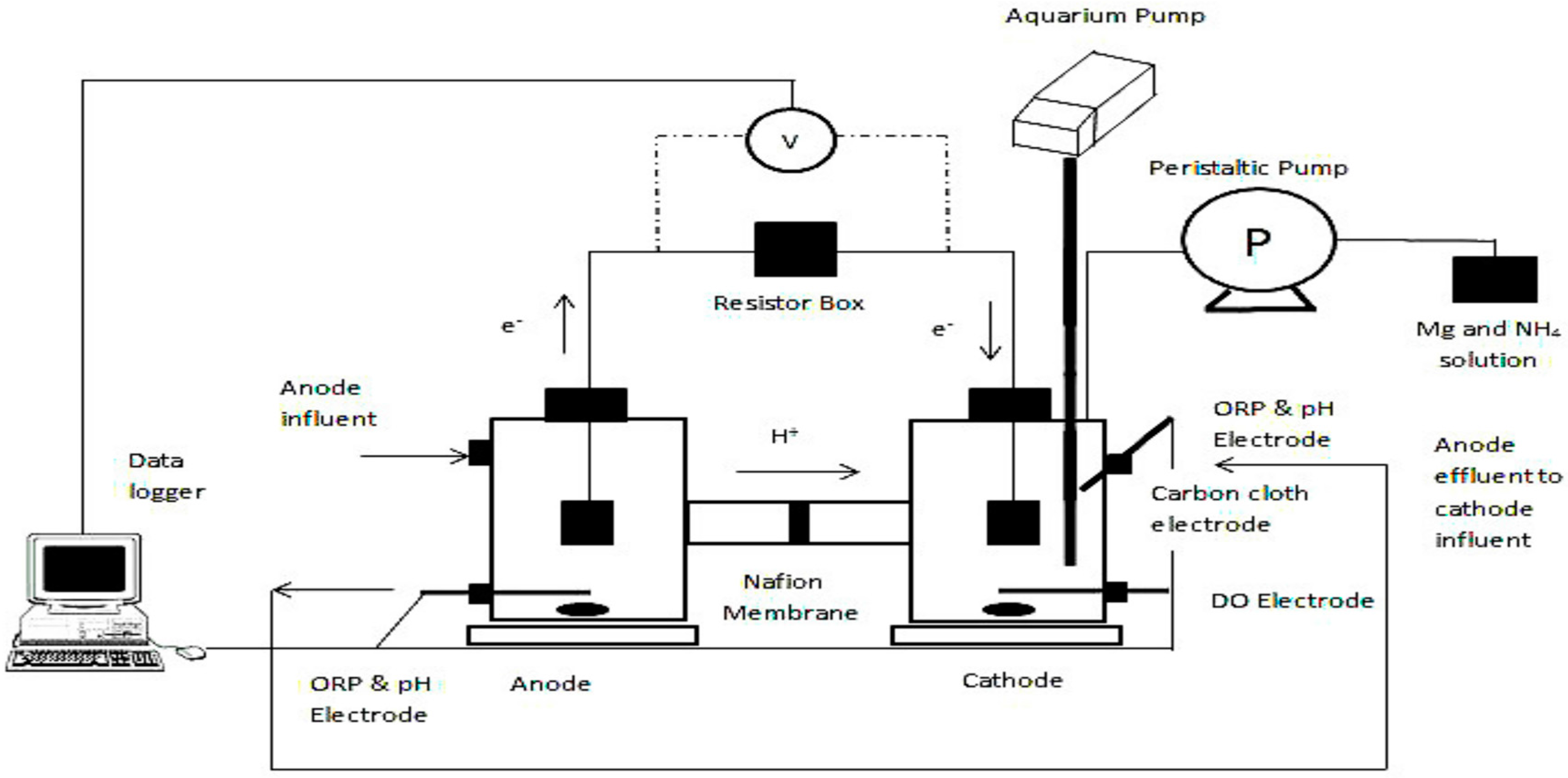 Ijerph 13 00375 g001