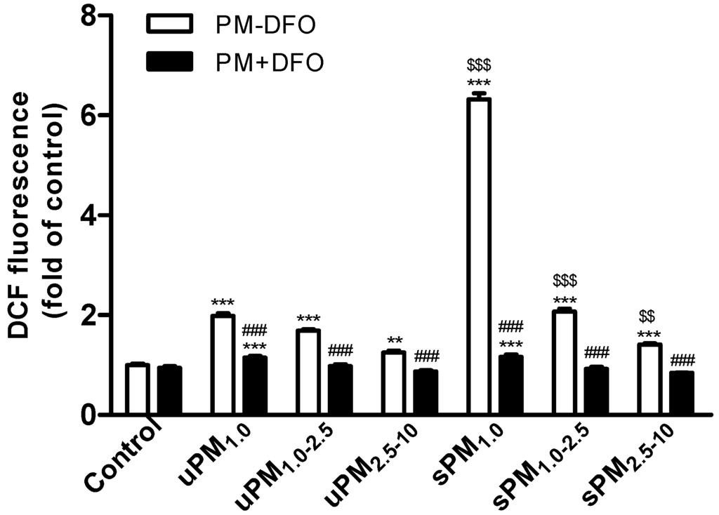 Effects of Size-Fractionated Particulate Matter on Cellular