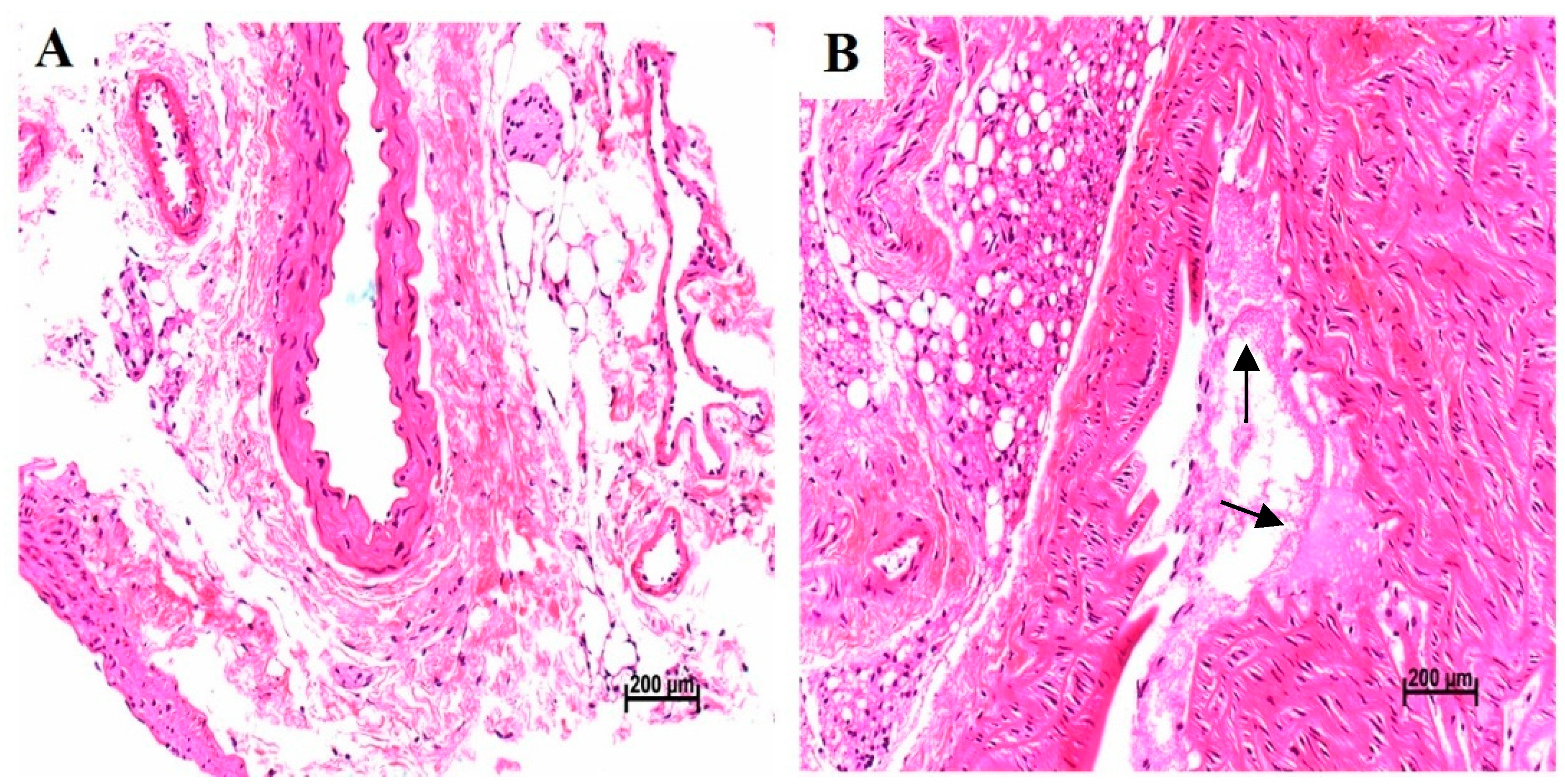 Ijerph 13 00484 g008