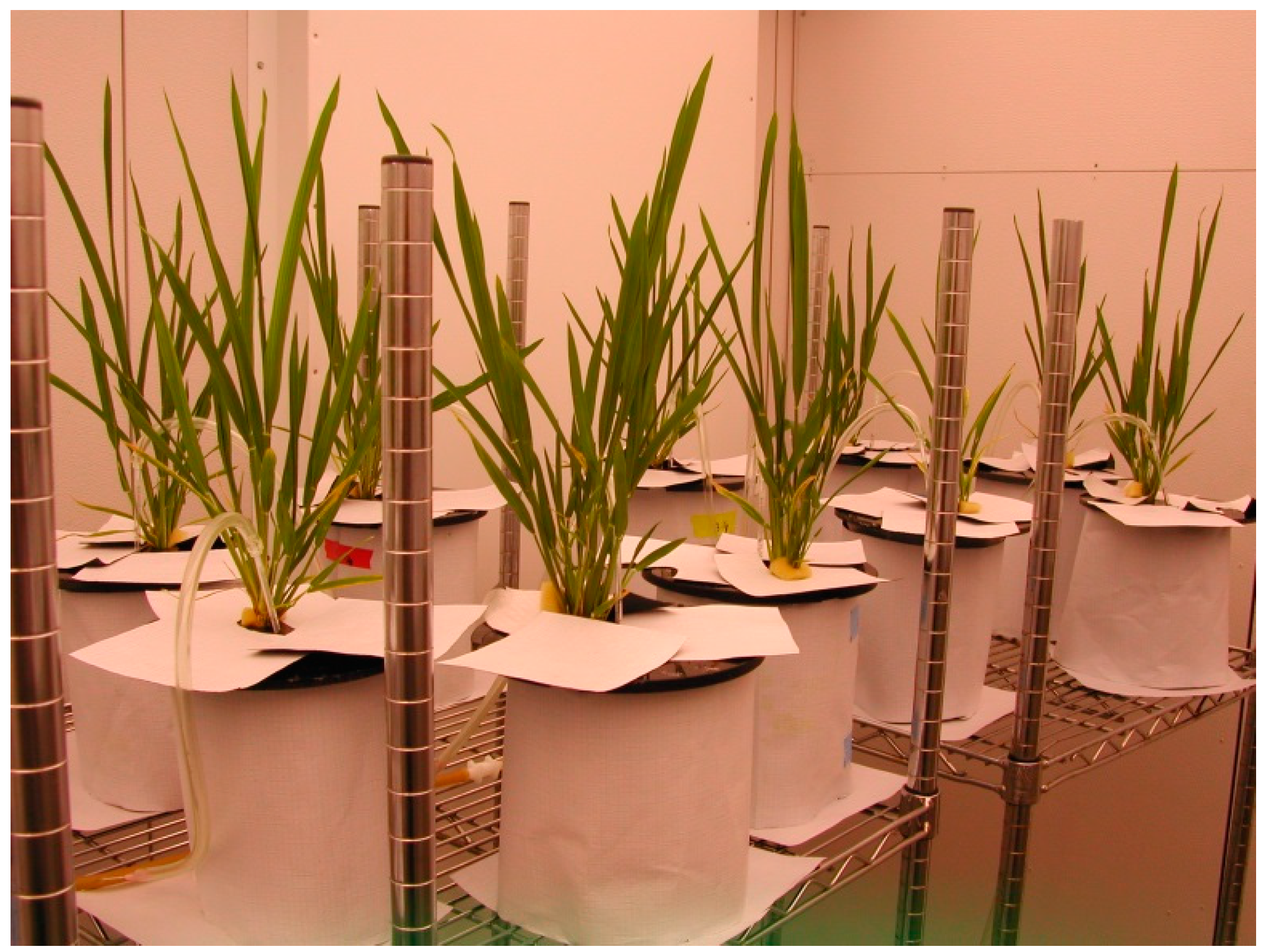 Ijerph 13 00606 g001 1024