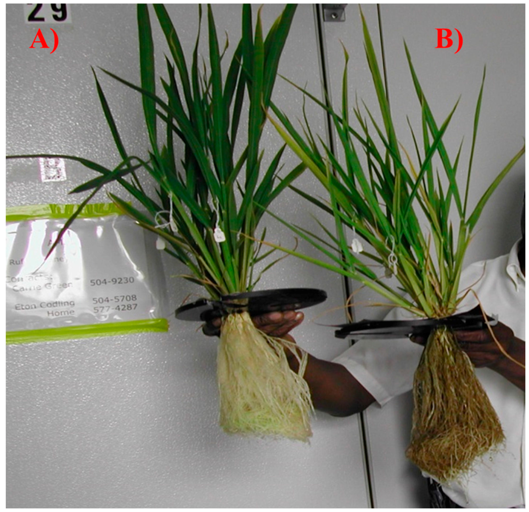 Ijerph 13 00606 g004 1024