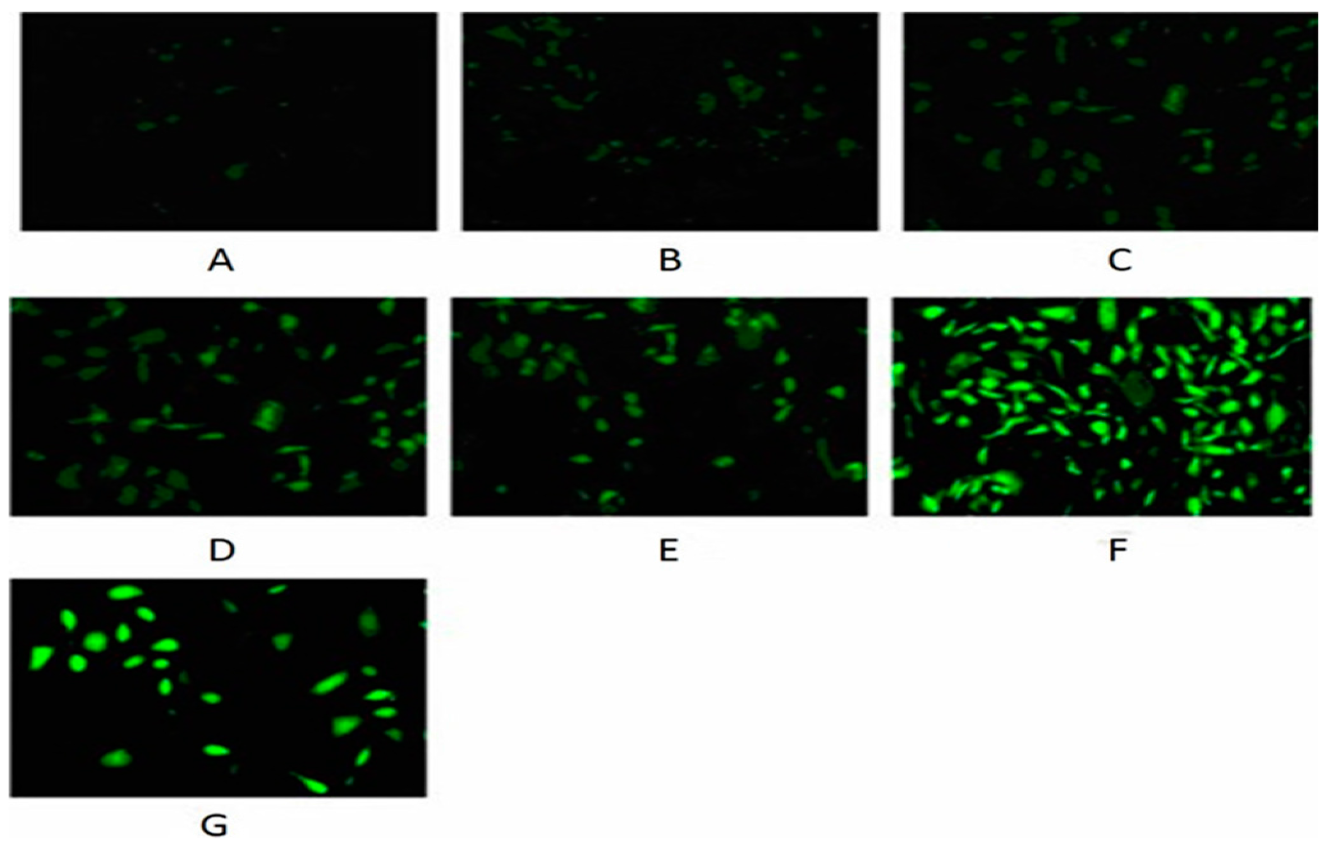 Ijerph 13 00629 g009