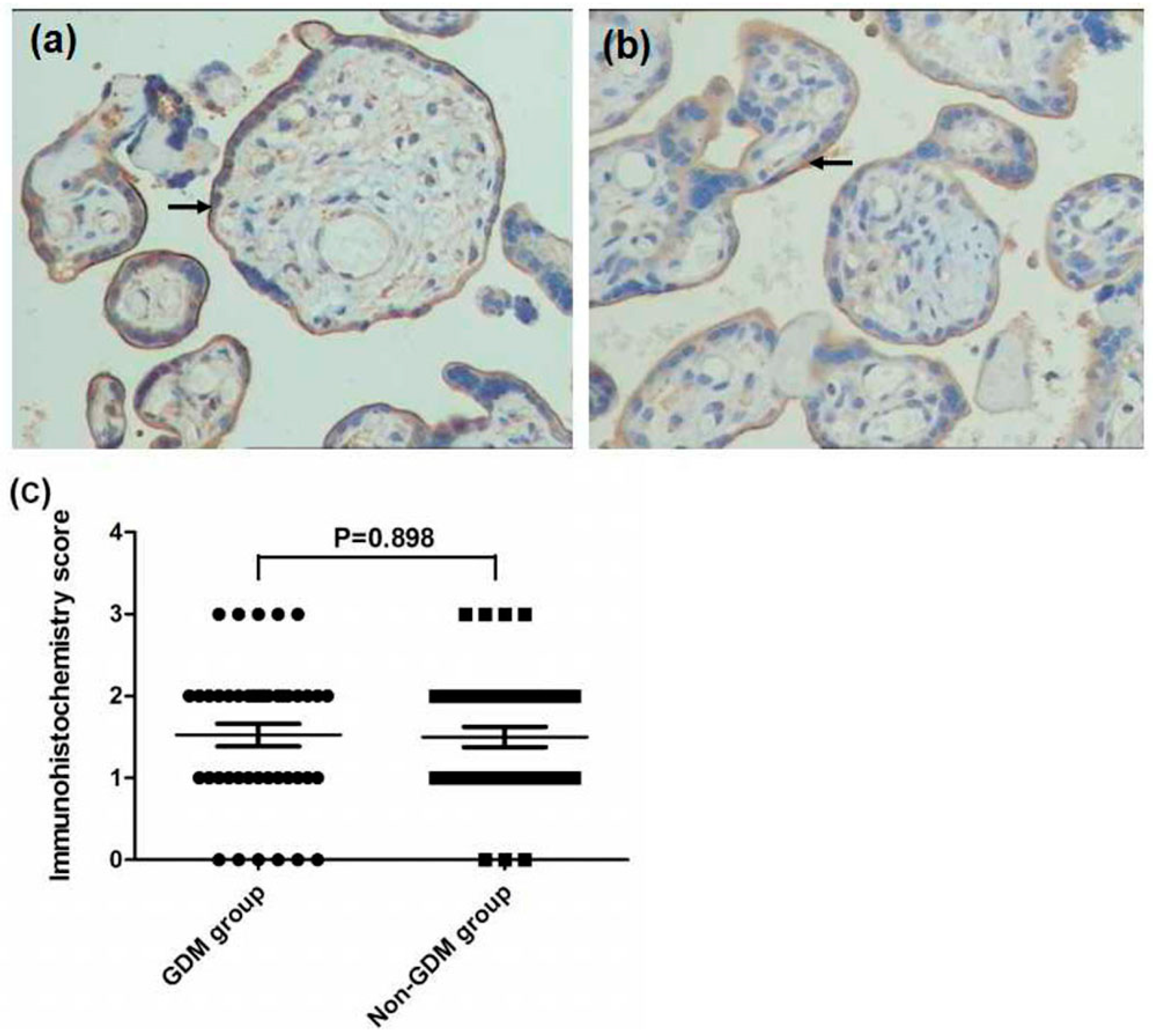 Ijerph 13 00766 g002