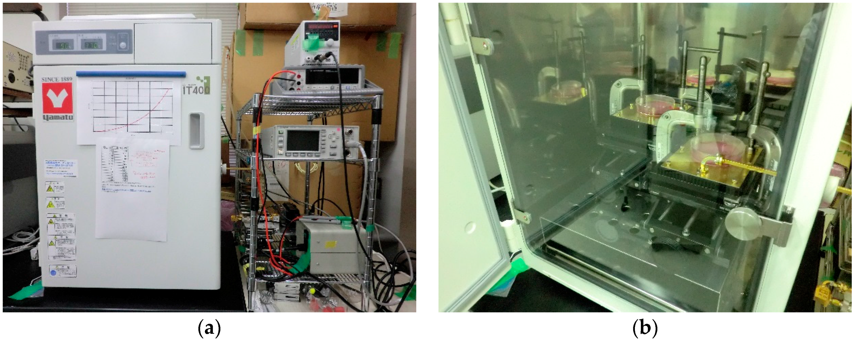 Ijerph 13 00802 g001 1024