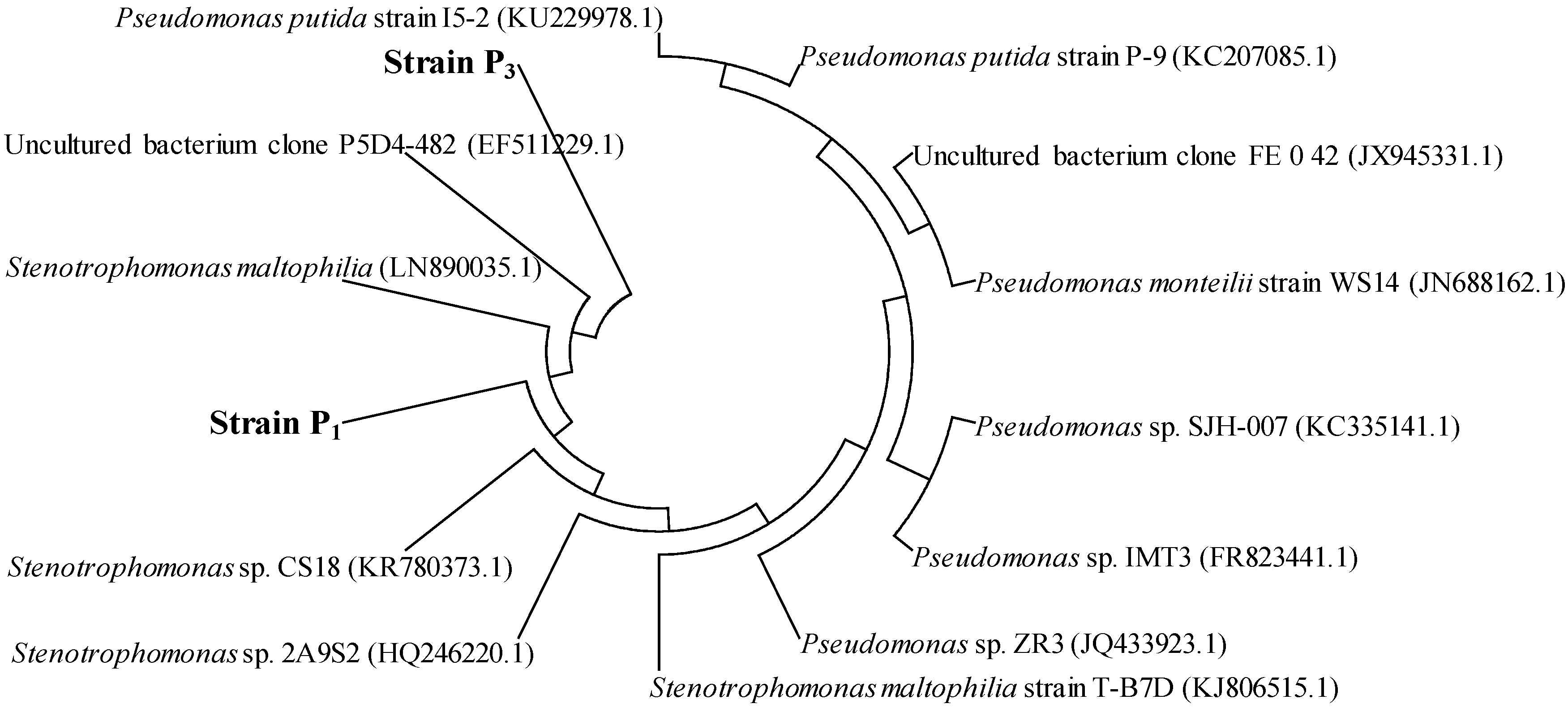 Ijerph 13 00805 g002