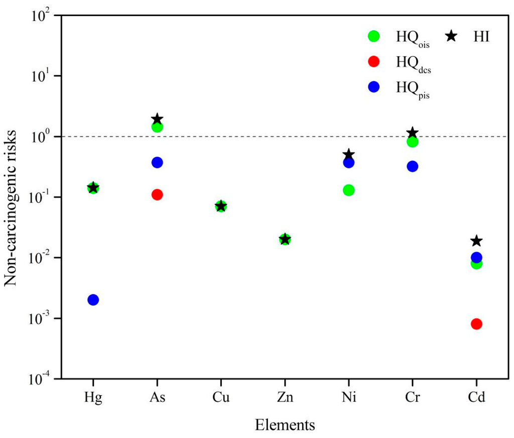 ＪＴ The Distribution and Health Risk Assessment of Metals in