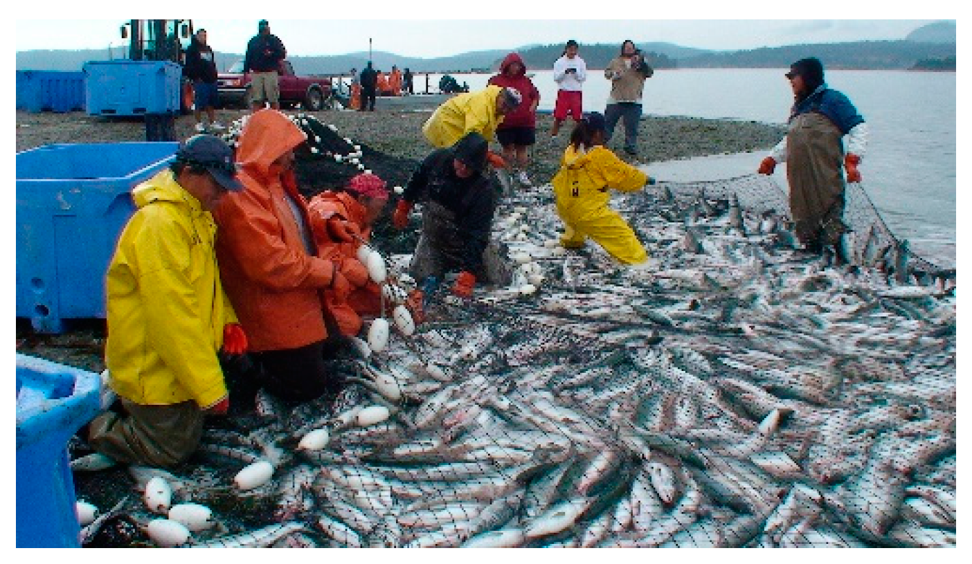 Ijerph 13 00899 g001 1024