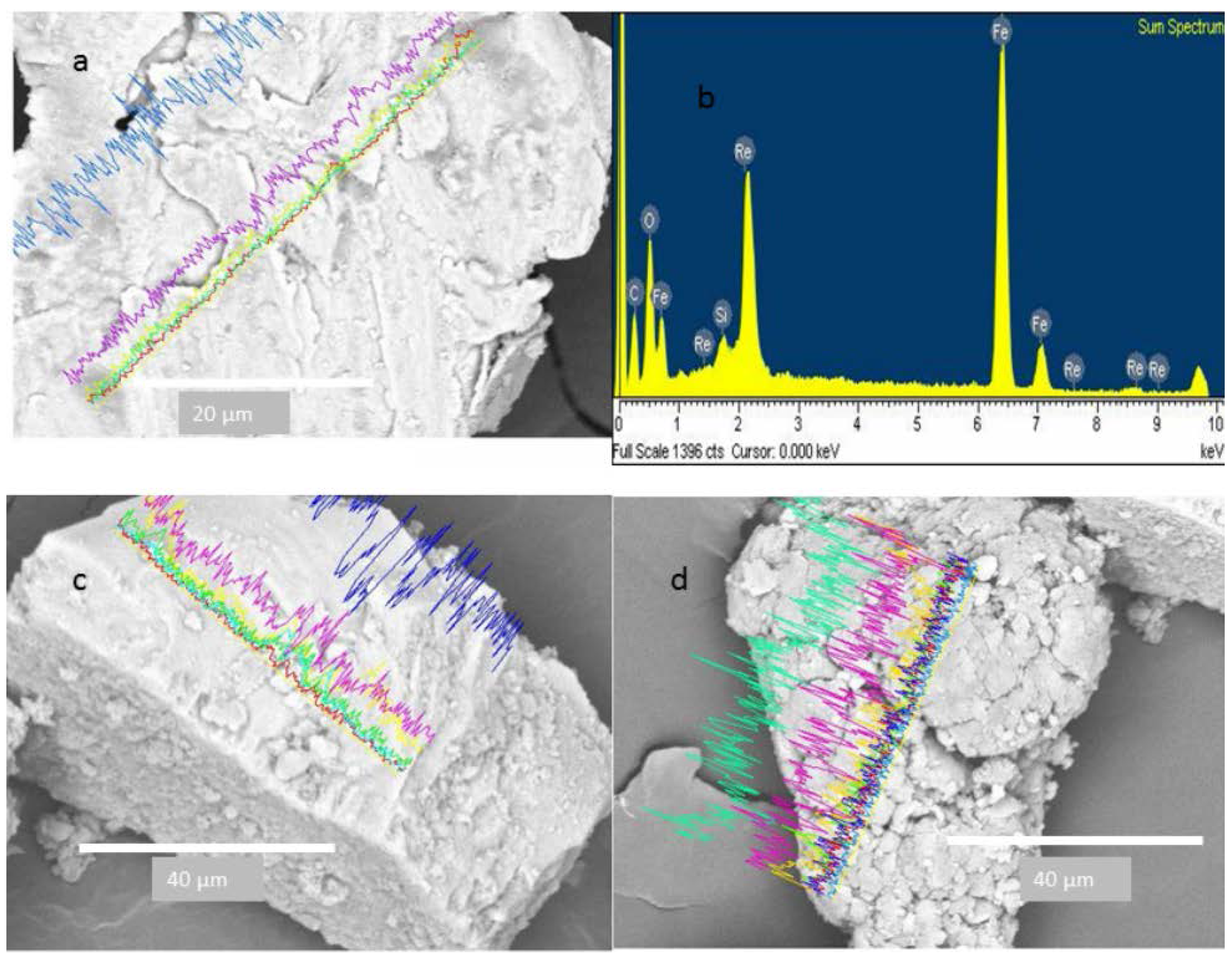 Ijerph 13 00985 g011