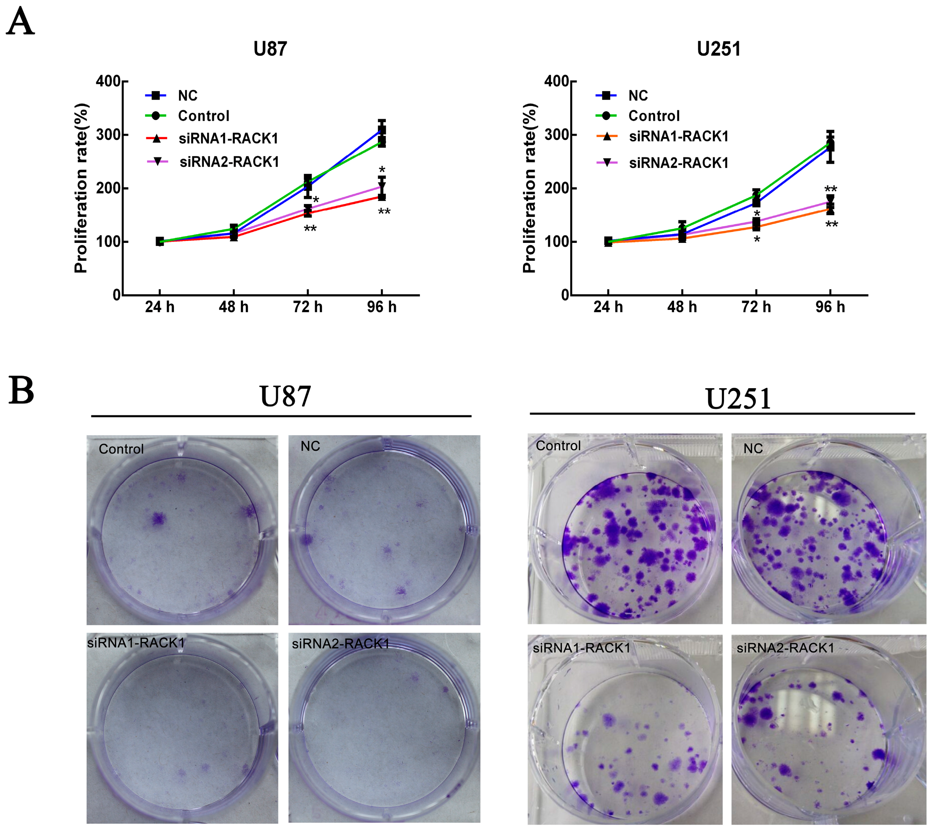 Ijerph 13 01021 g003