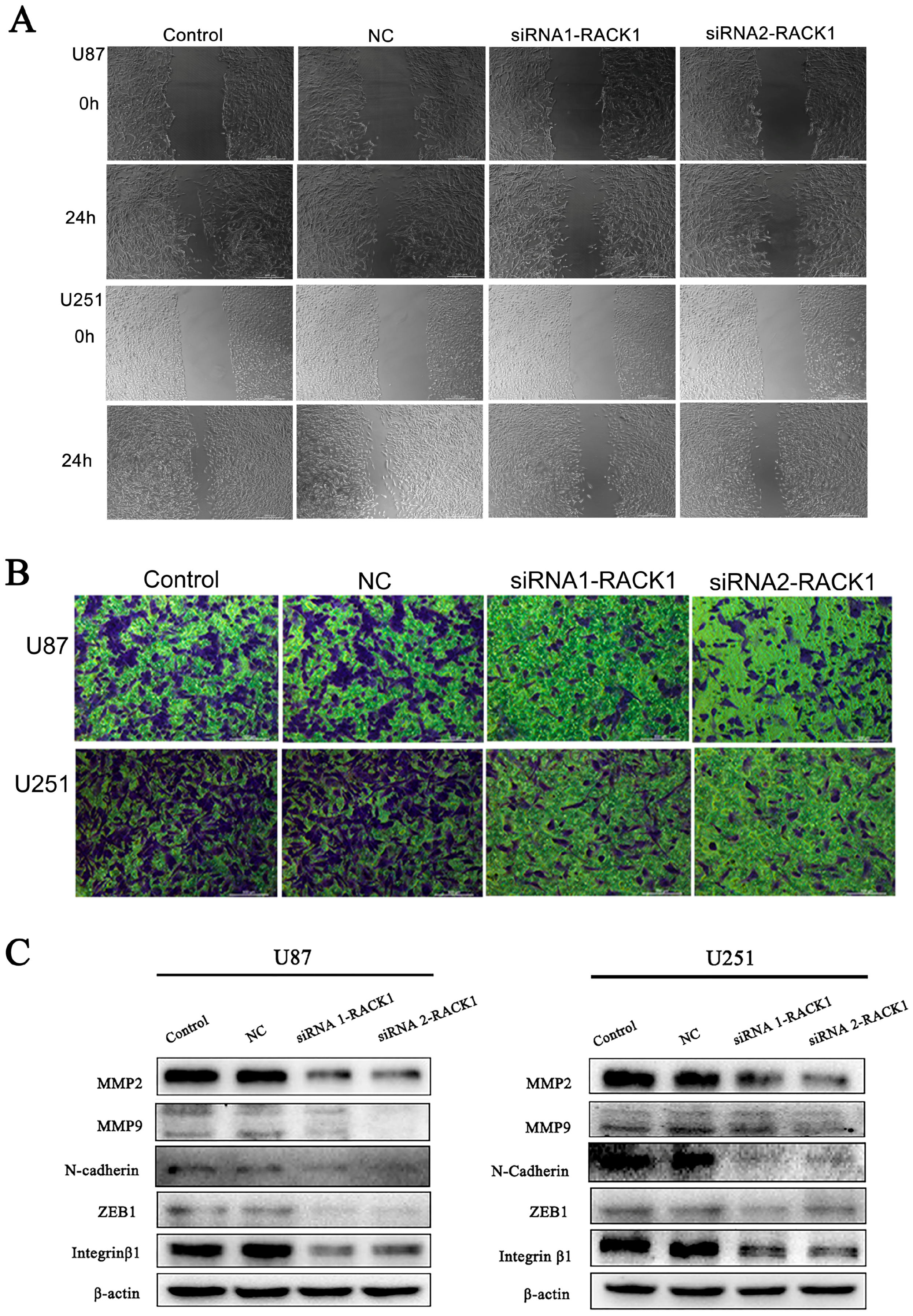 Ijerph 13 01021 g006