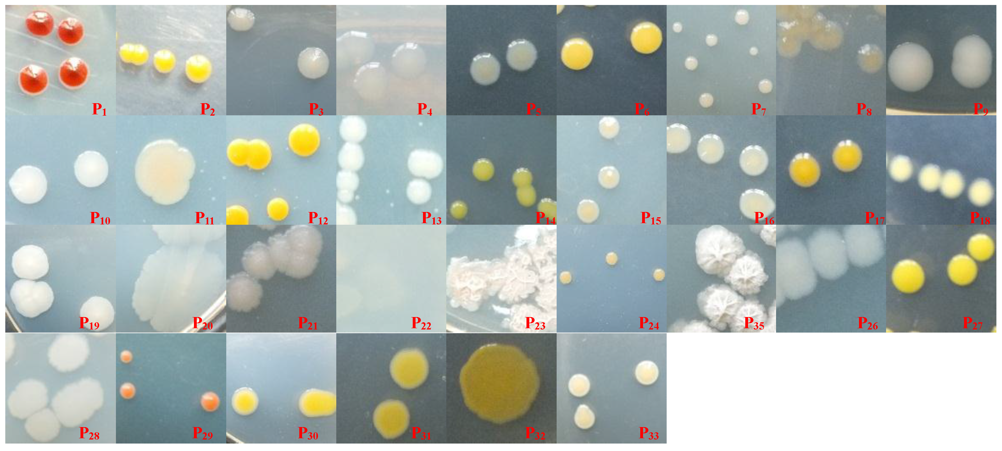 Ijerph 13 01081 g002