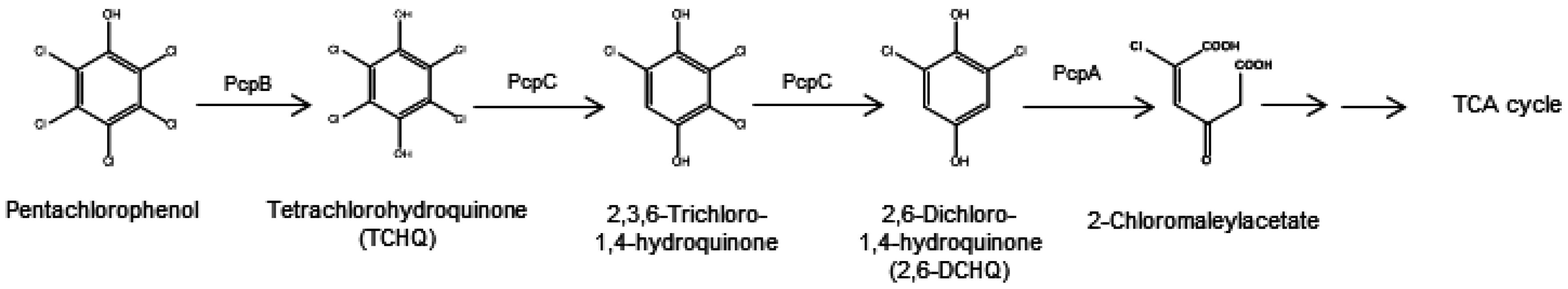 Ijerph 13 01146 g001 550
