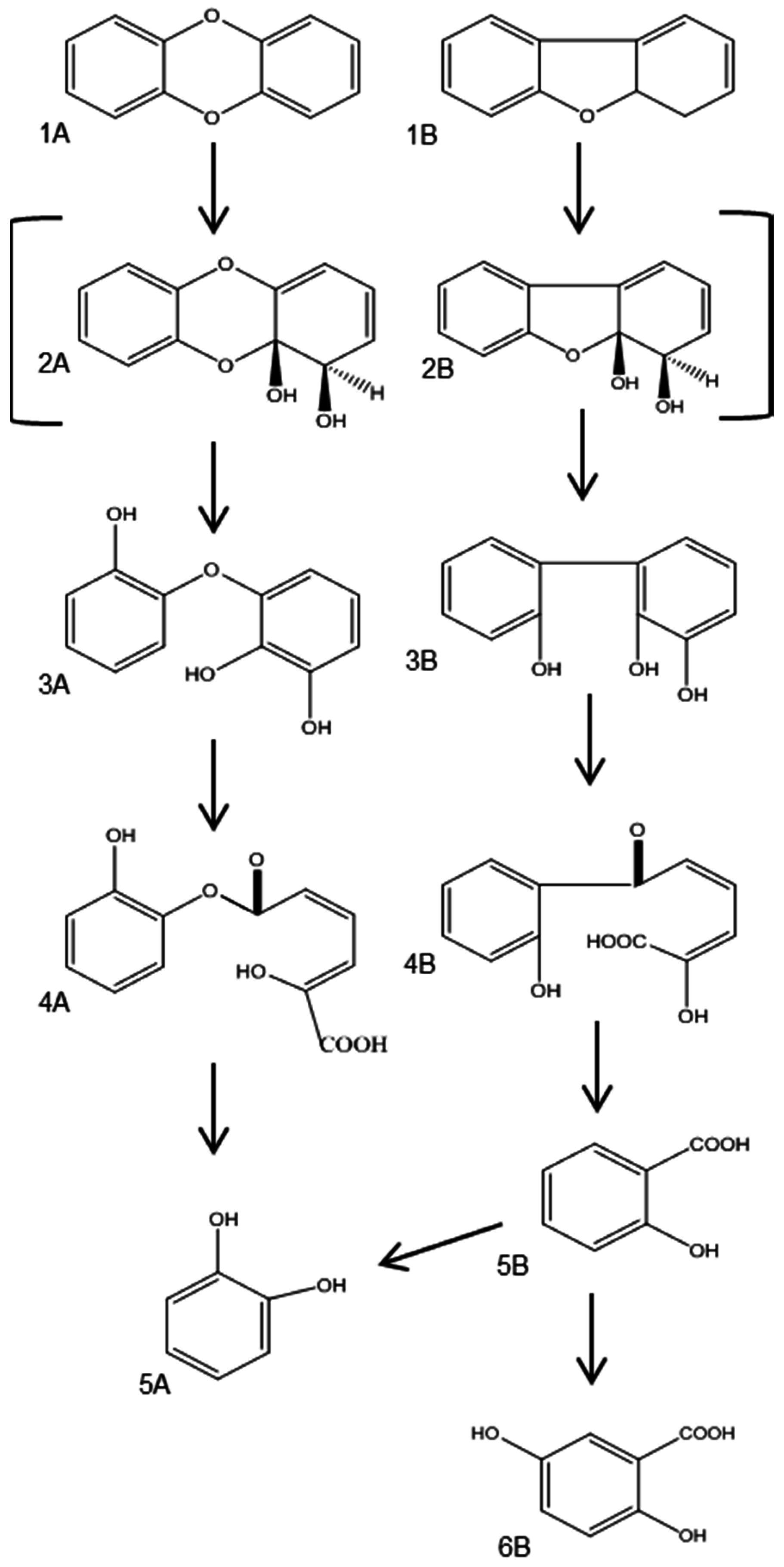 Ijerph 13 01146 g005 550