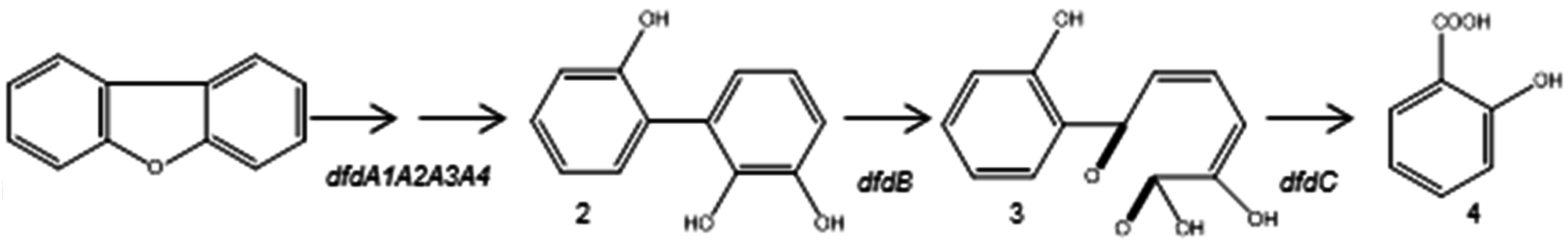 Ijerph 13 01146 g006 550