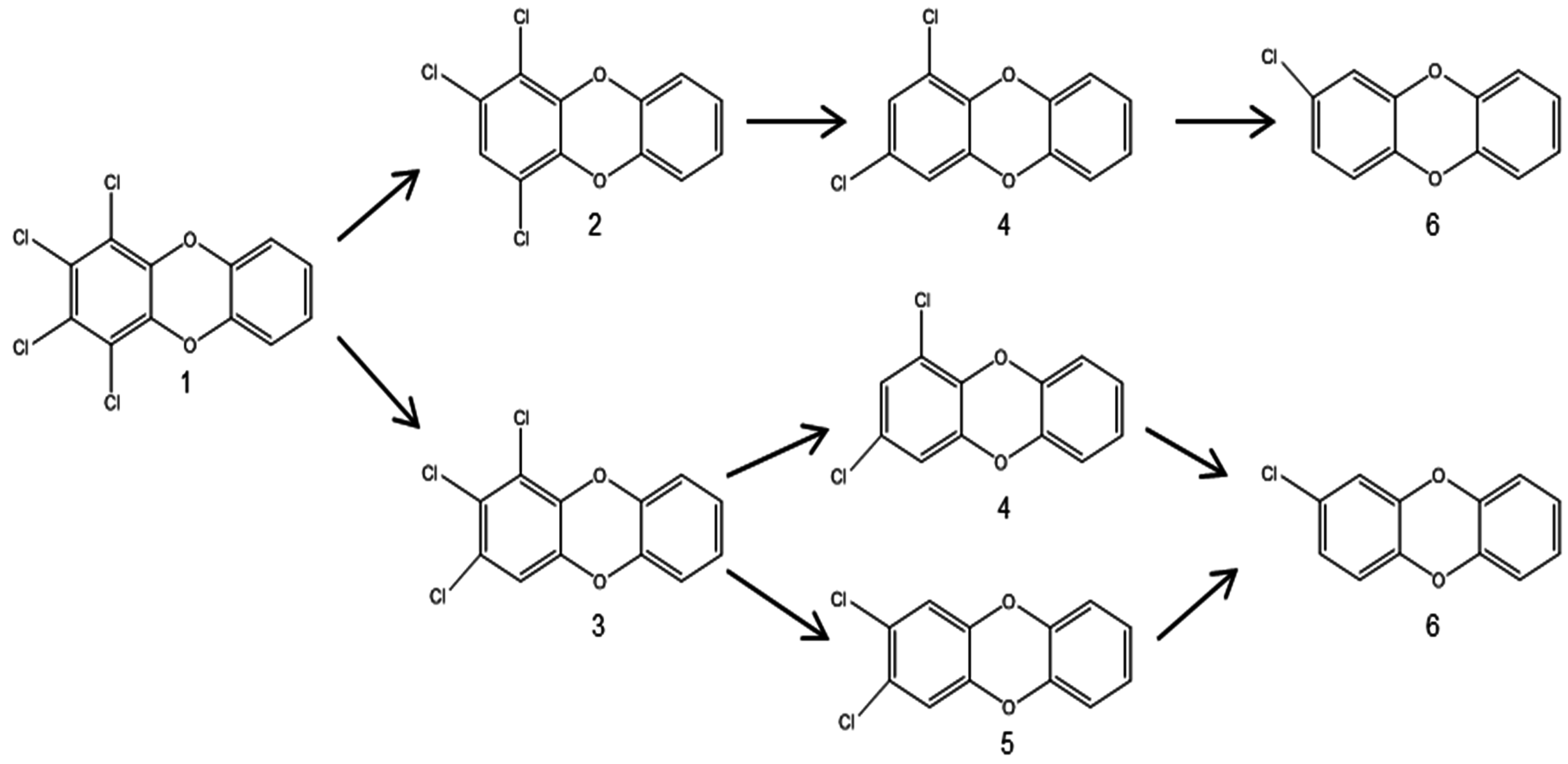 Ijerph 13 01146 g007 550