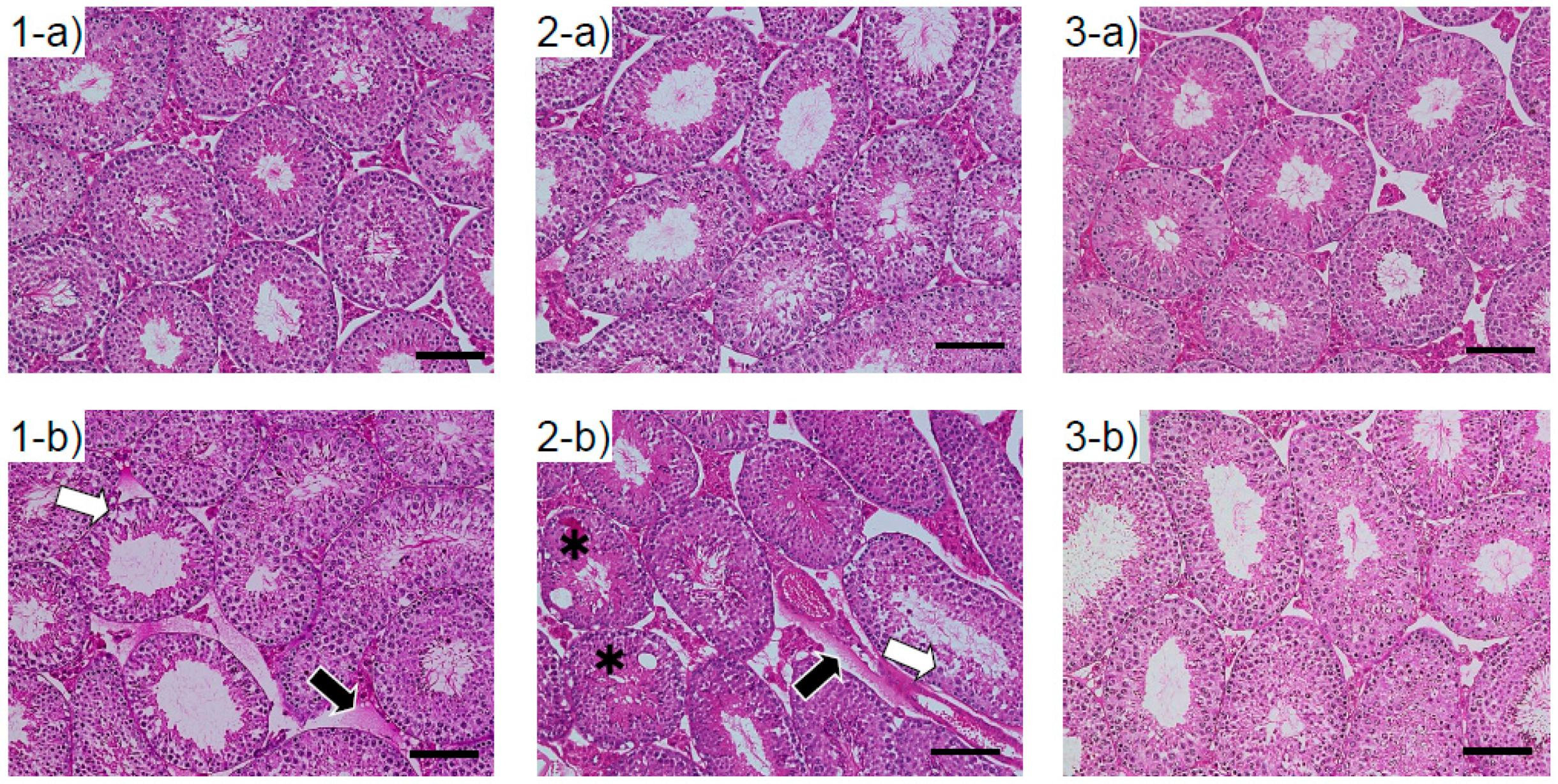 Ijerph 13 01173 g001