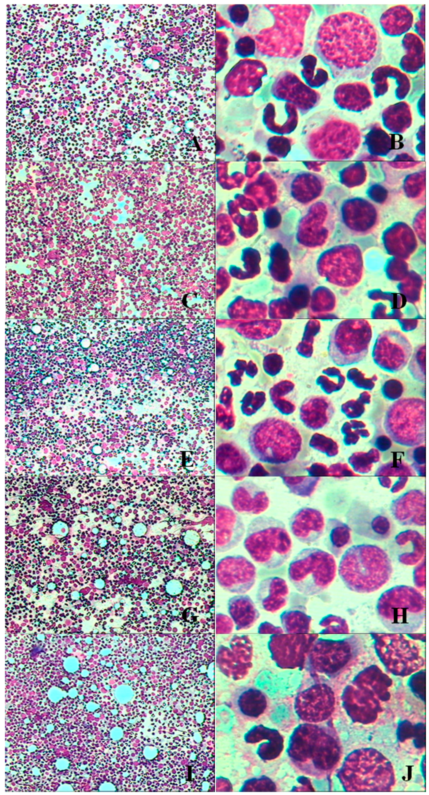 Ijerph 13 01190 g002 550