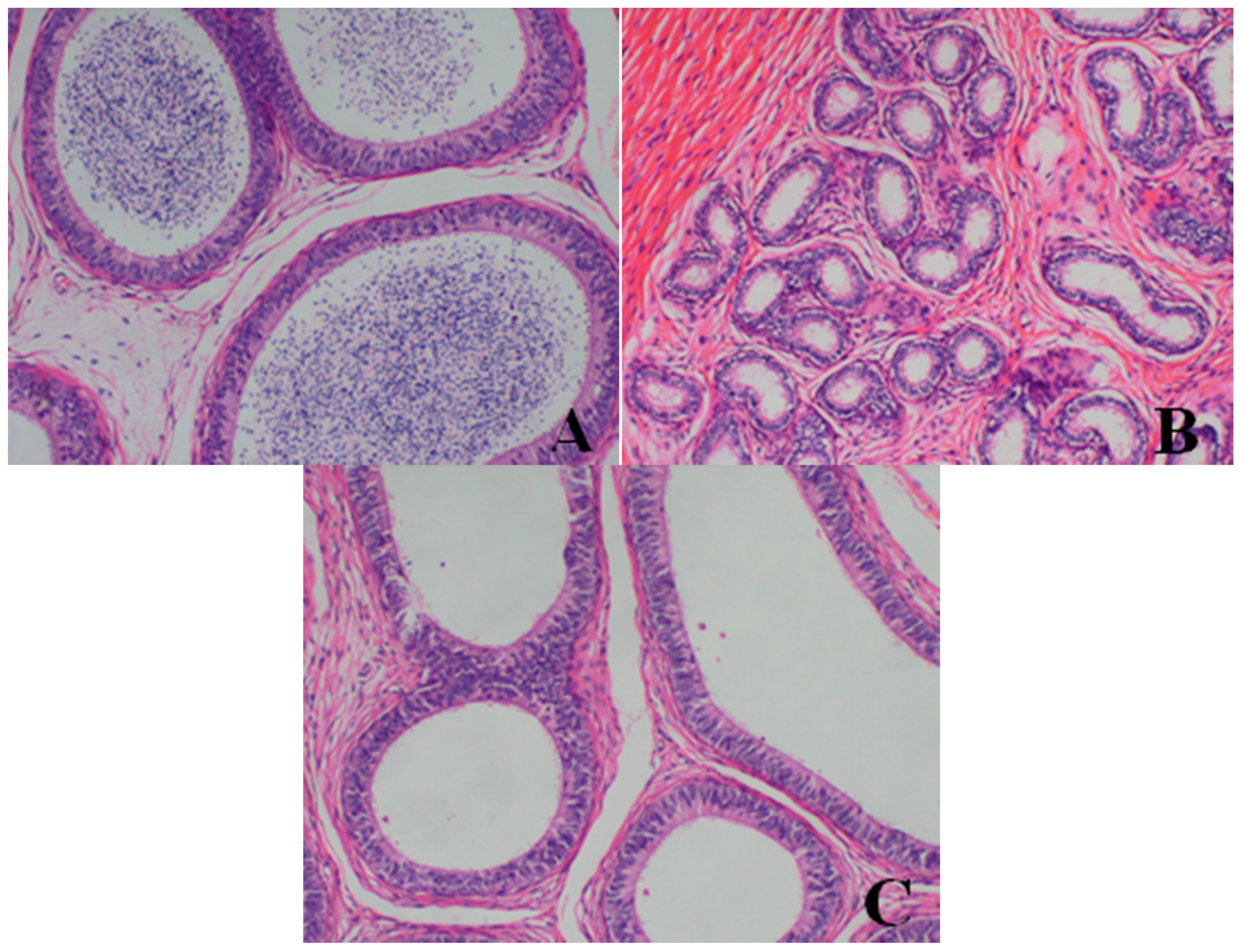 Ijerph 13 01190 g006 550