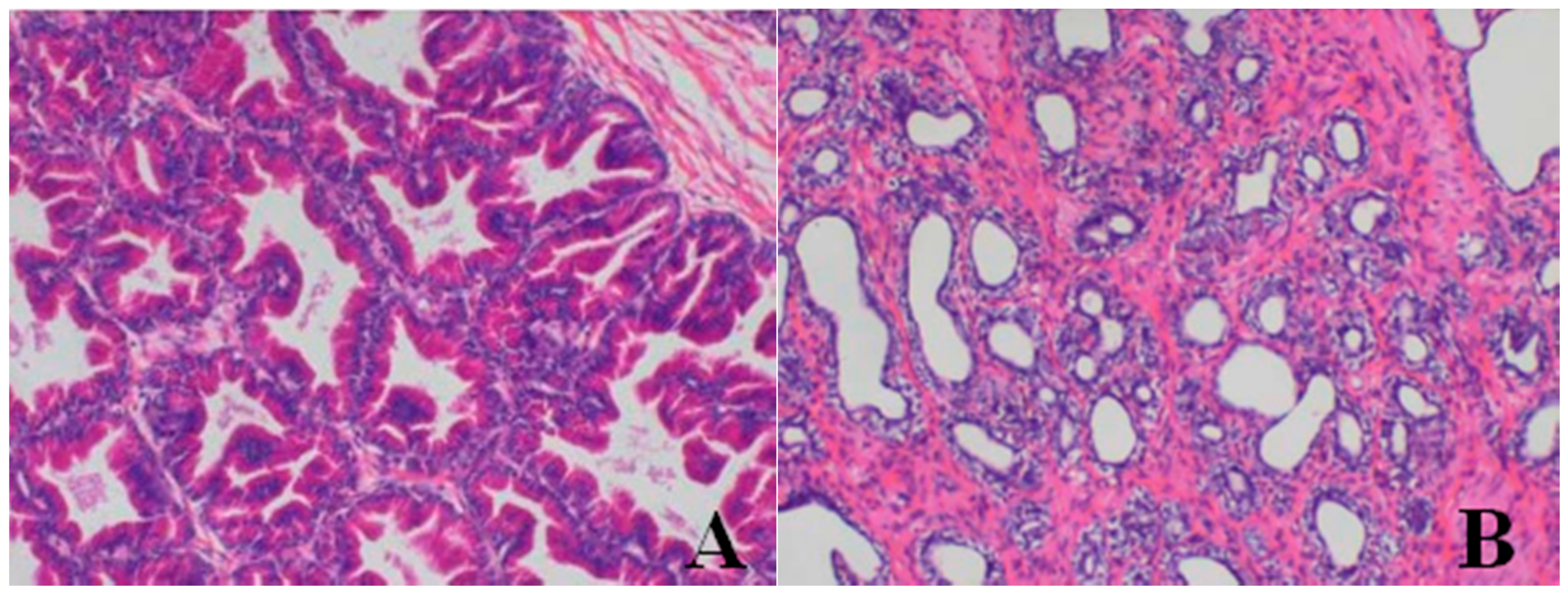 Ijerph 13 01190 g007a 550