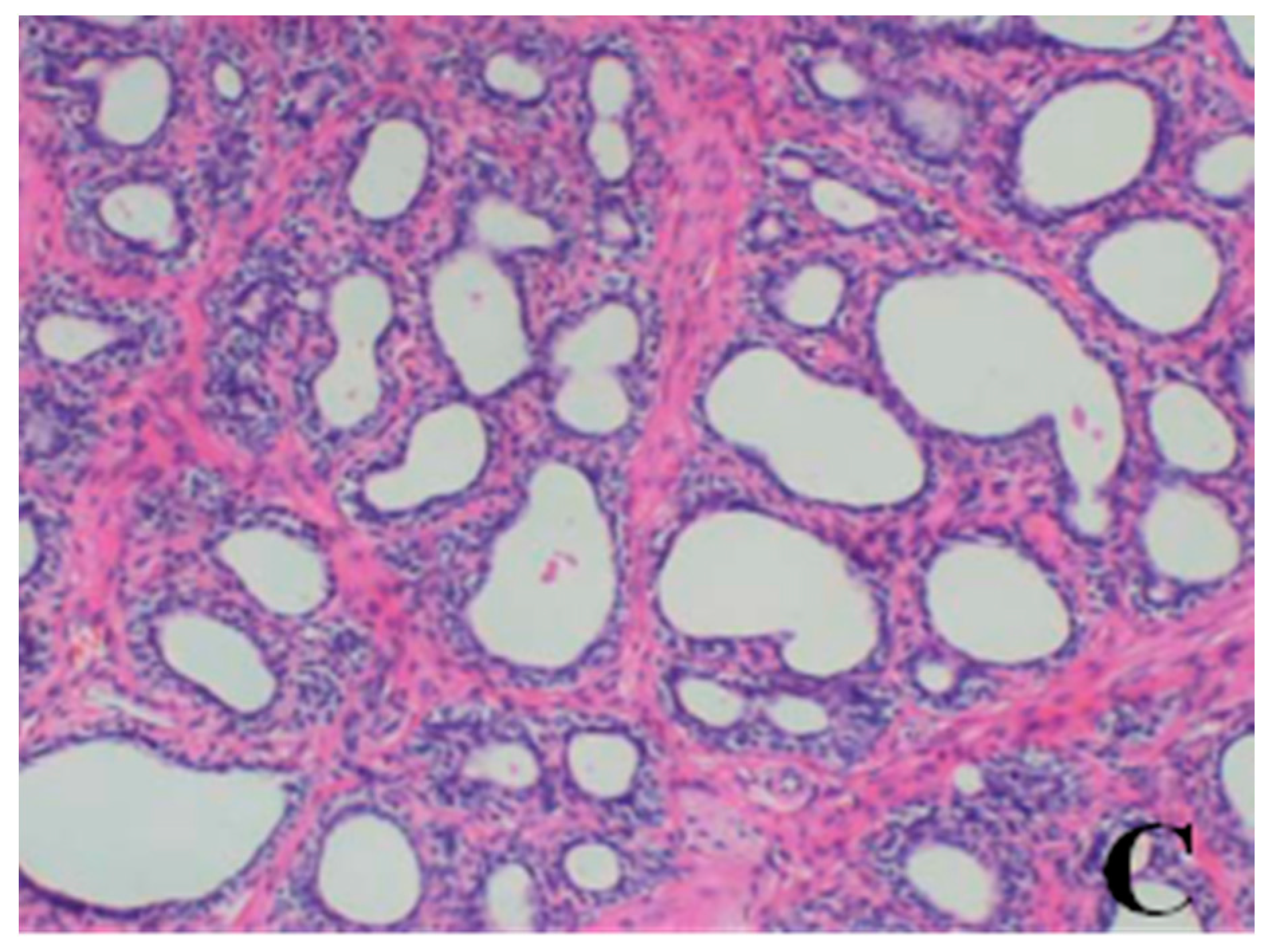 Ijerph 13 01190 g007b 550