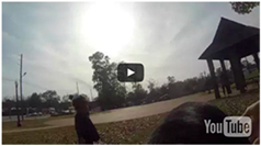 Ijerph 13 01198 i015