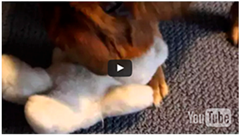 Ijerph 13 01198 i018