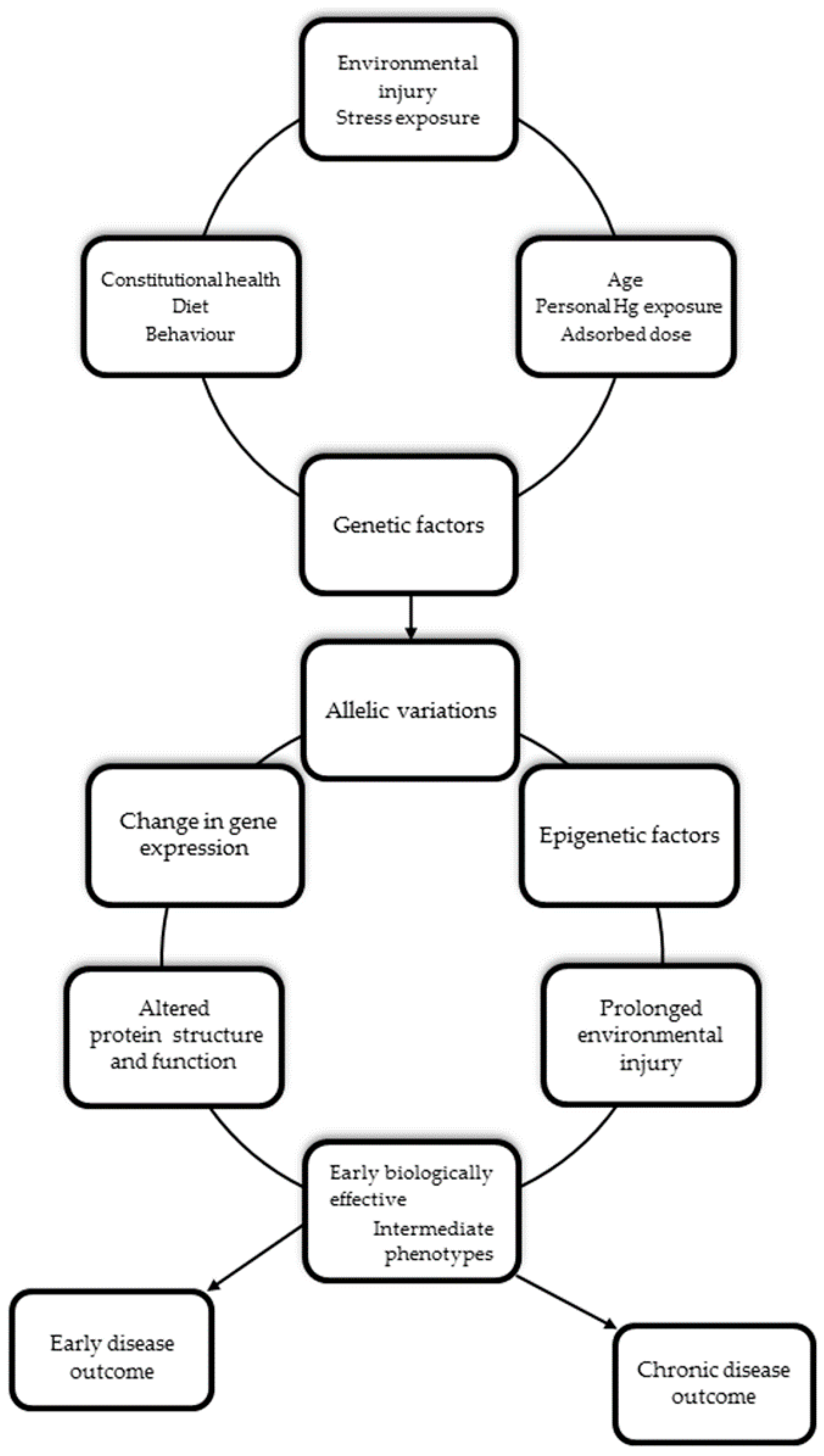 Chronic Toxicity - an overview