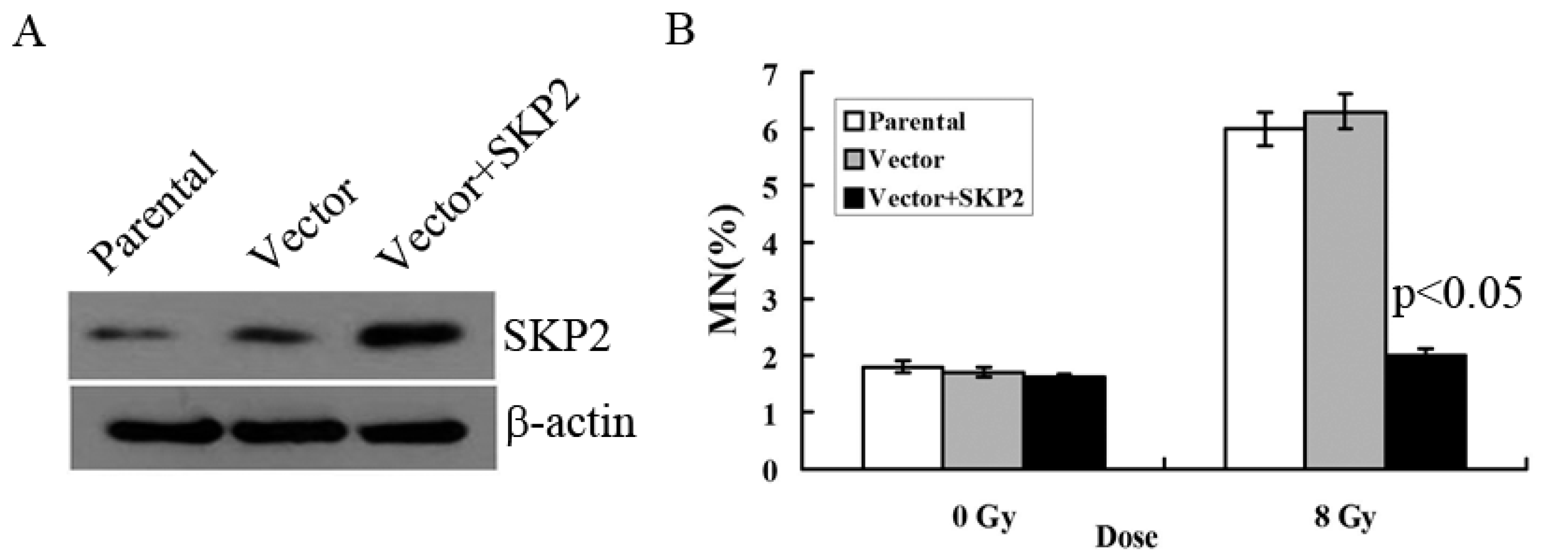 Ijerph 14 00155 g002