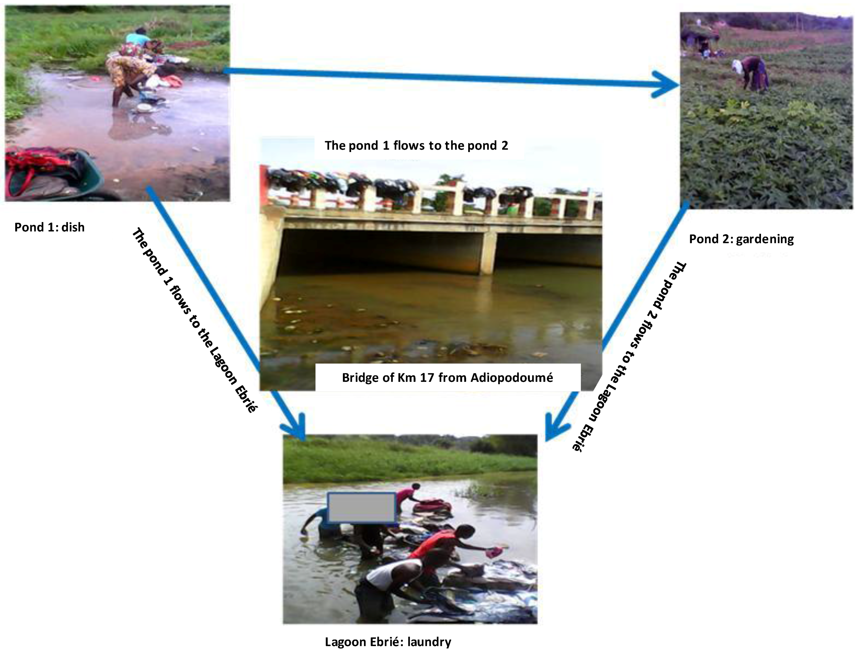 Ijerph 14 00178 g002 550