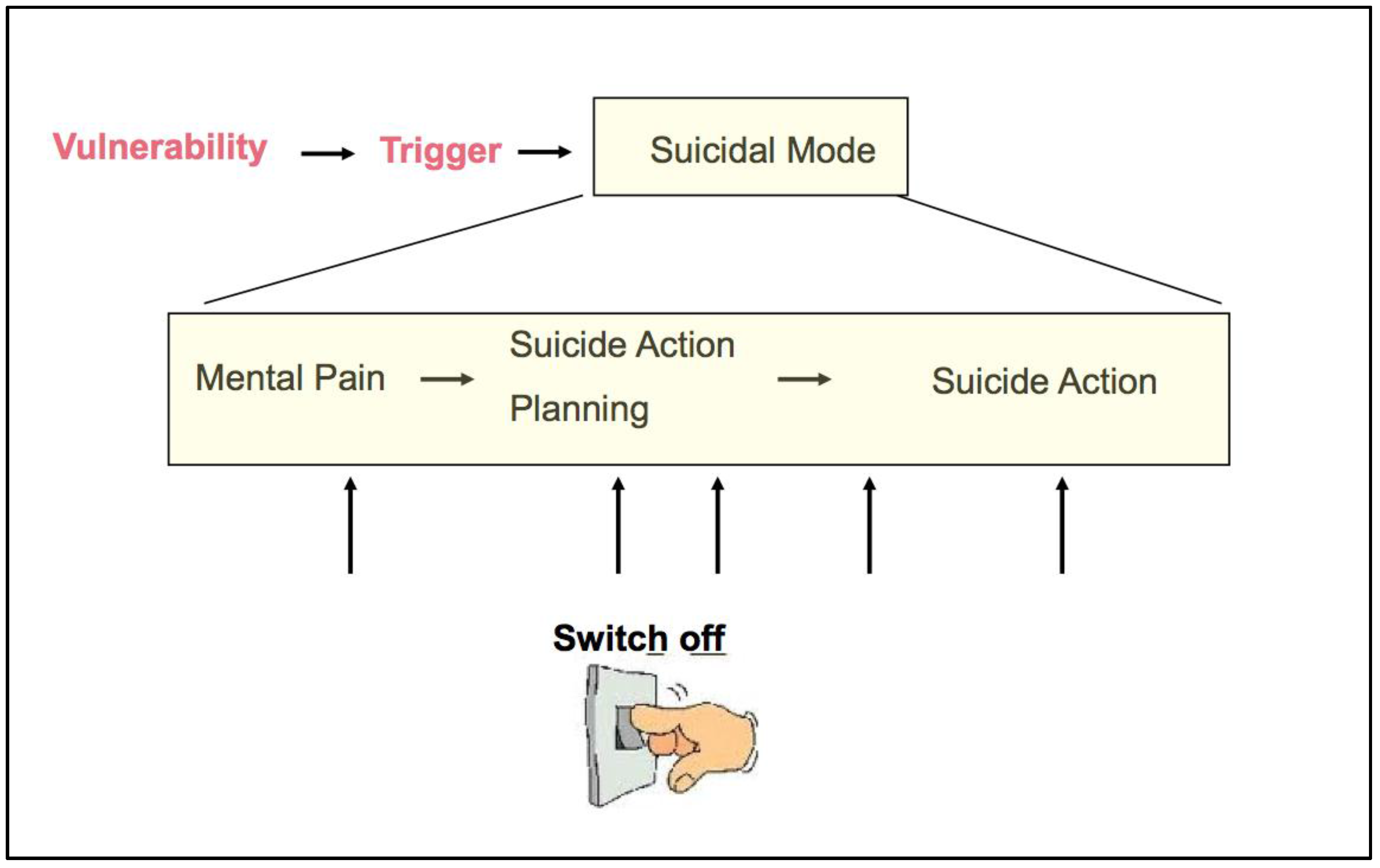Suicide Theoretical Models