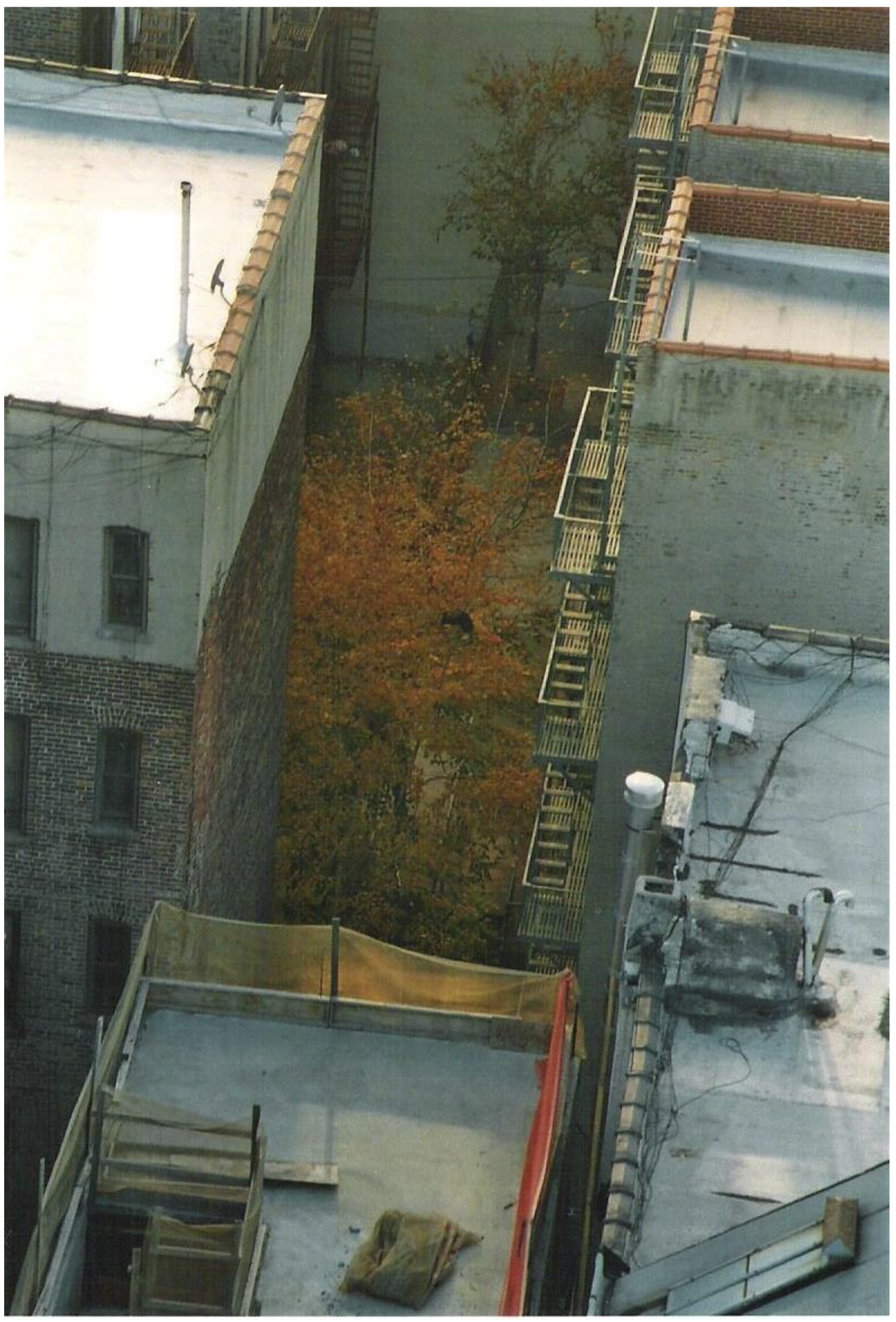 Ijerph 14 00293 g002 550